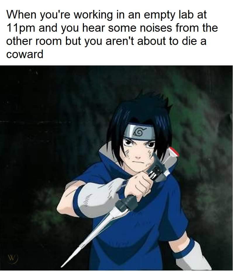 For all the anime loving lab rats | Scrolller