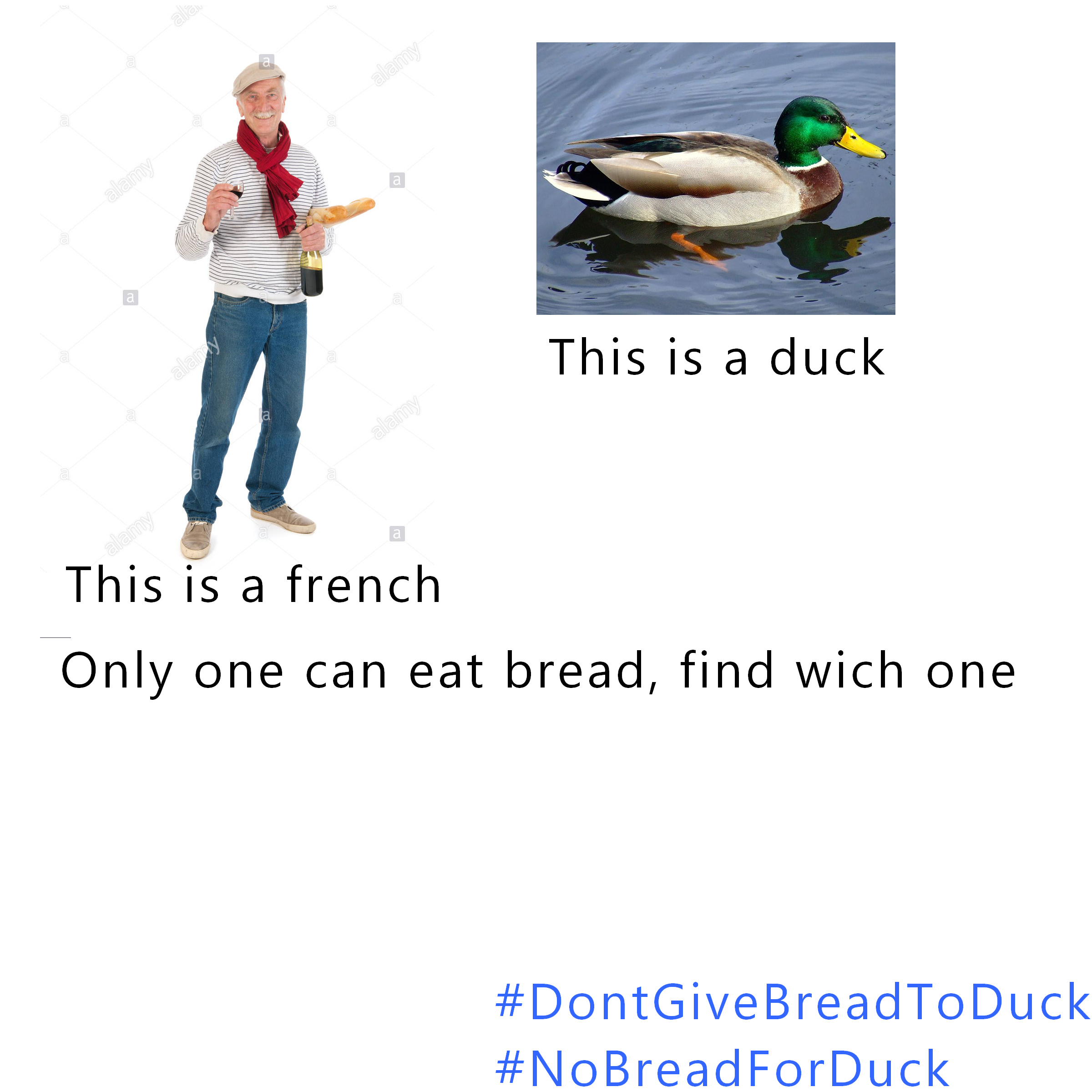 french=/= duck Scrolller