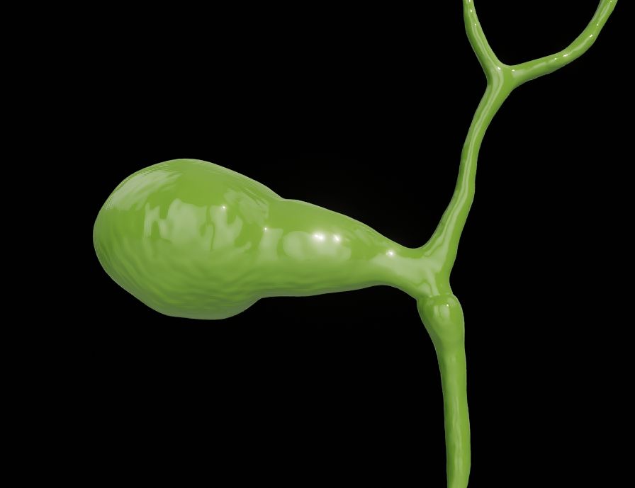 Gallbladder | Scrolller