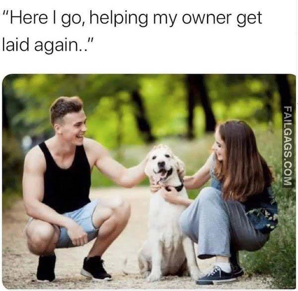 helping my owner get laid again funny memes | Scrolller