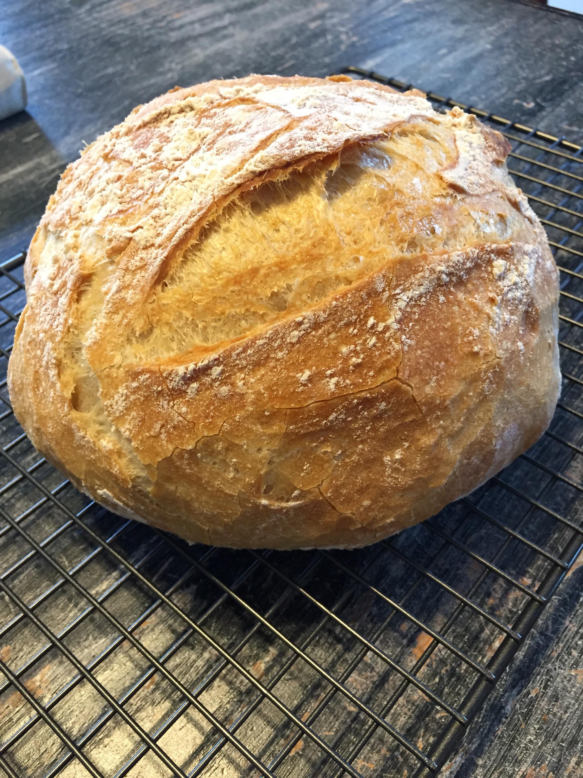 Homemade loaf of Dutch oven bread Scrolller