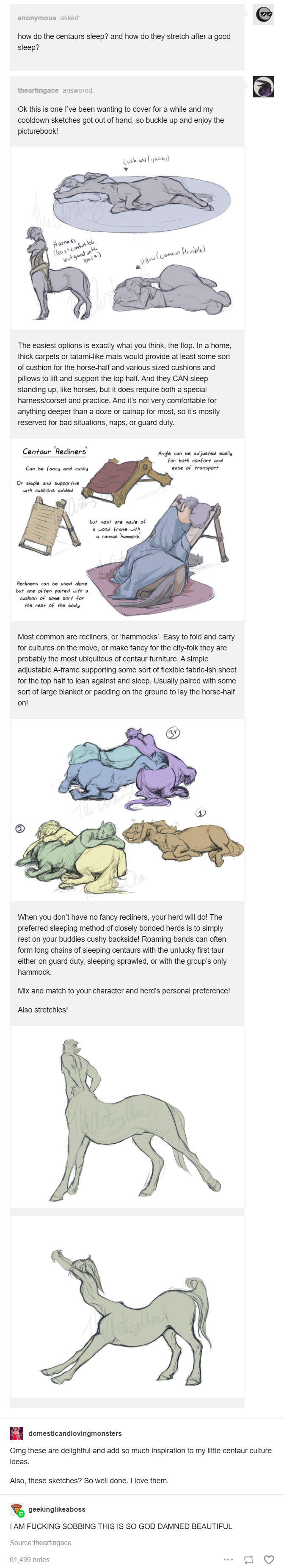 How do centaurs sleep? | Scrolller