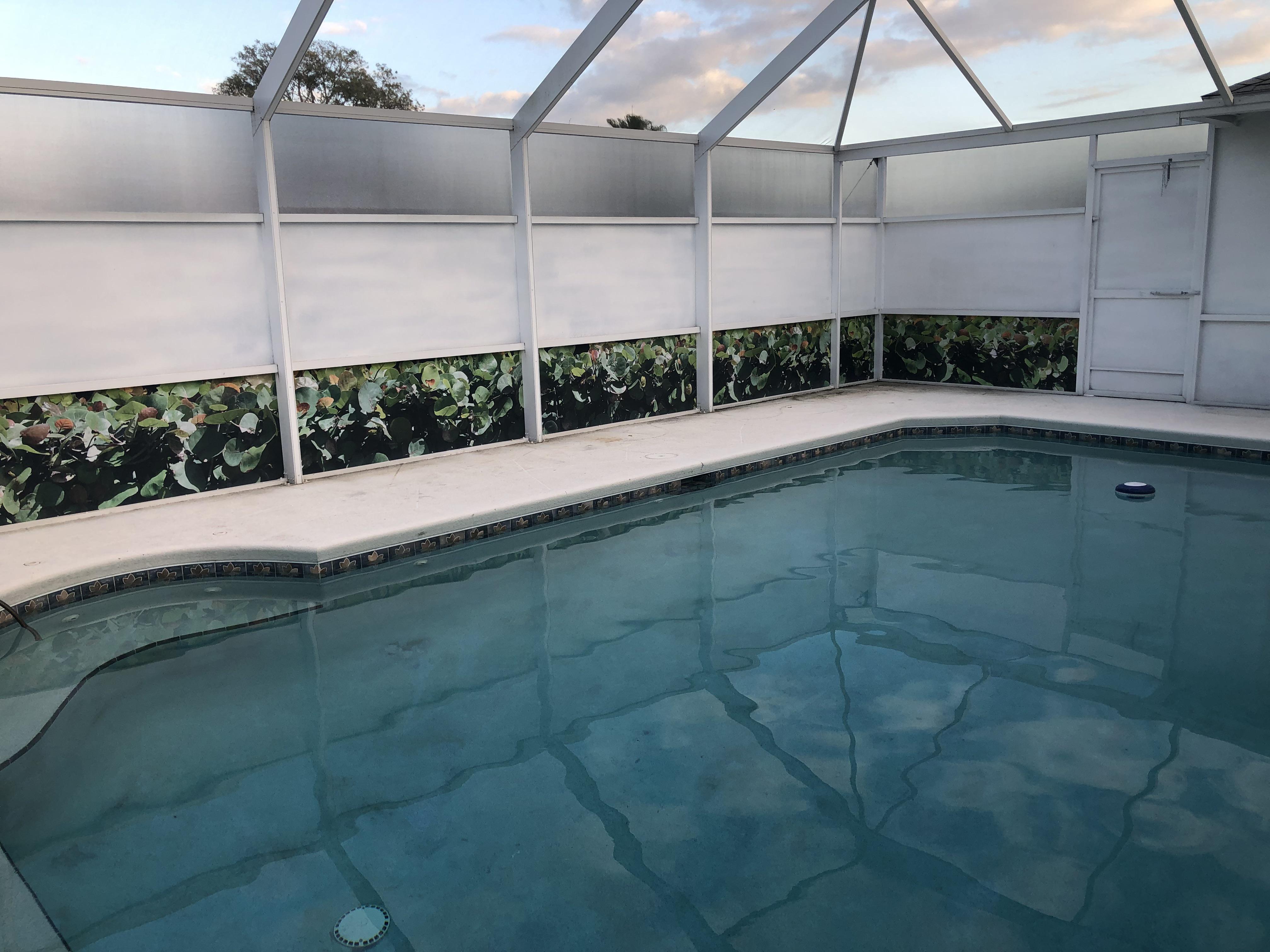 Scrolller Pool How I nude-proofed my pool. | Scrolller