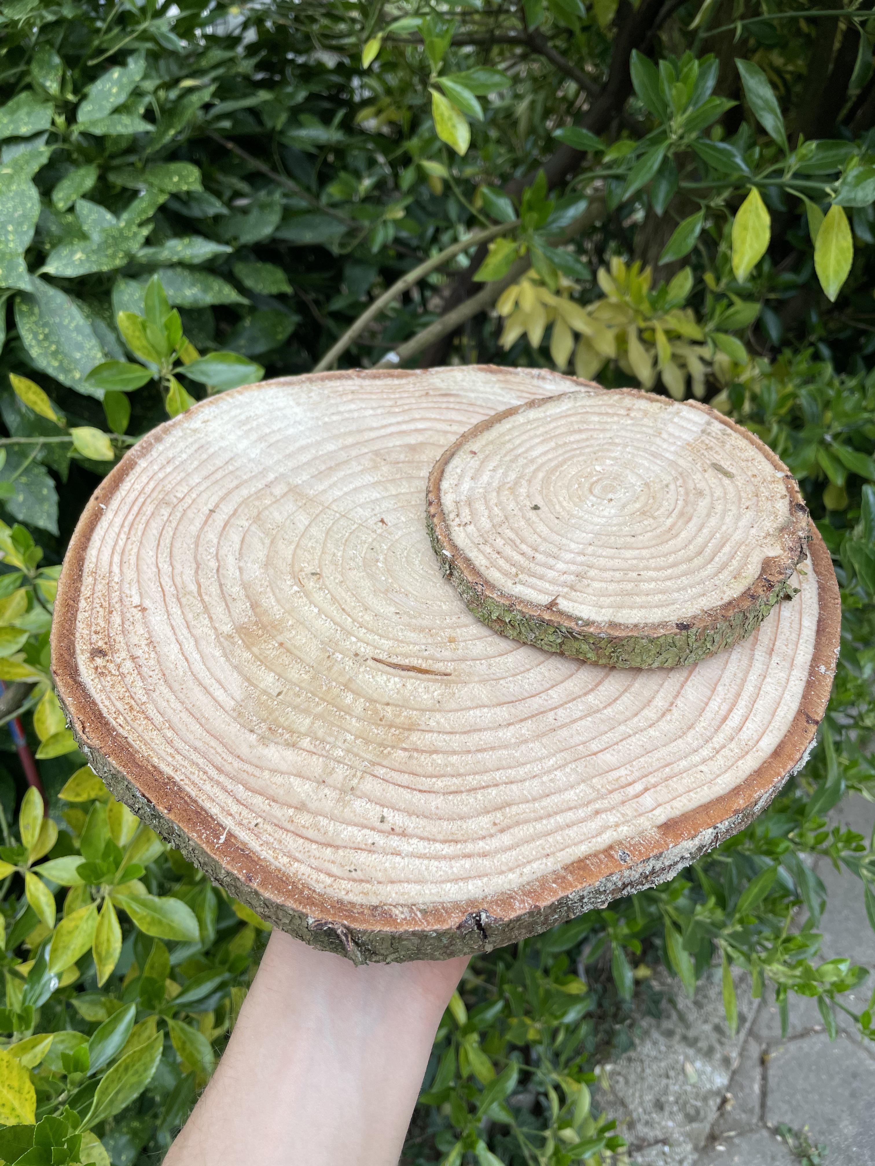 How to prevent spruce slabs from cracking as they dry? They are 2 4