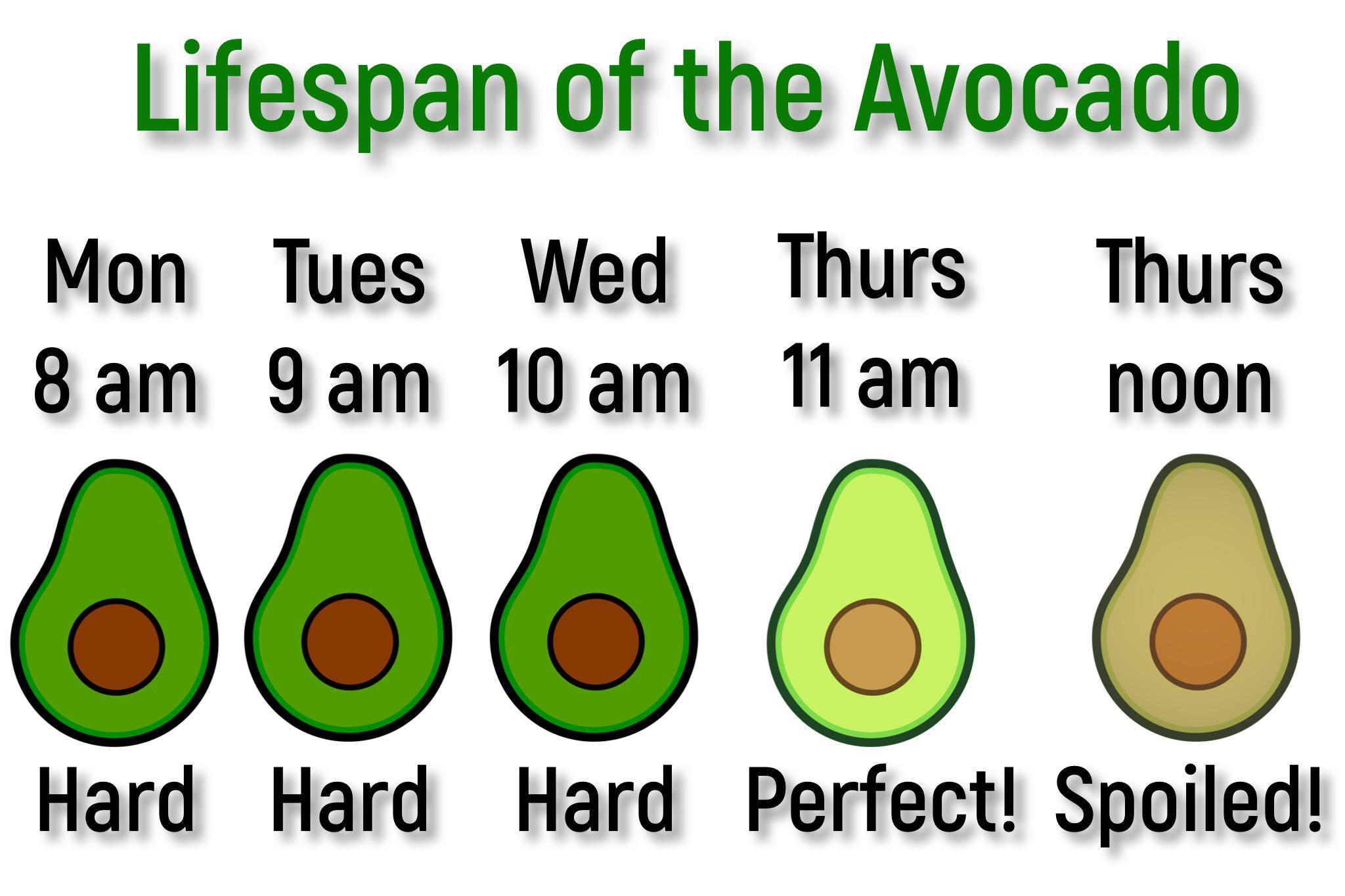 How to tell an Avocado is ripe. Gently squeeze the end of the fruit. If ...