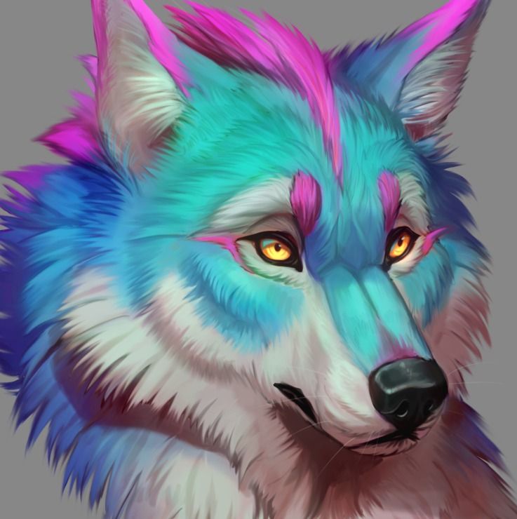 I drew a wolf tutorial: Rainbow Wolf - ICON #furry | Scrolller