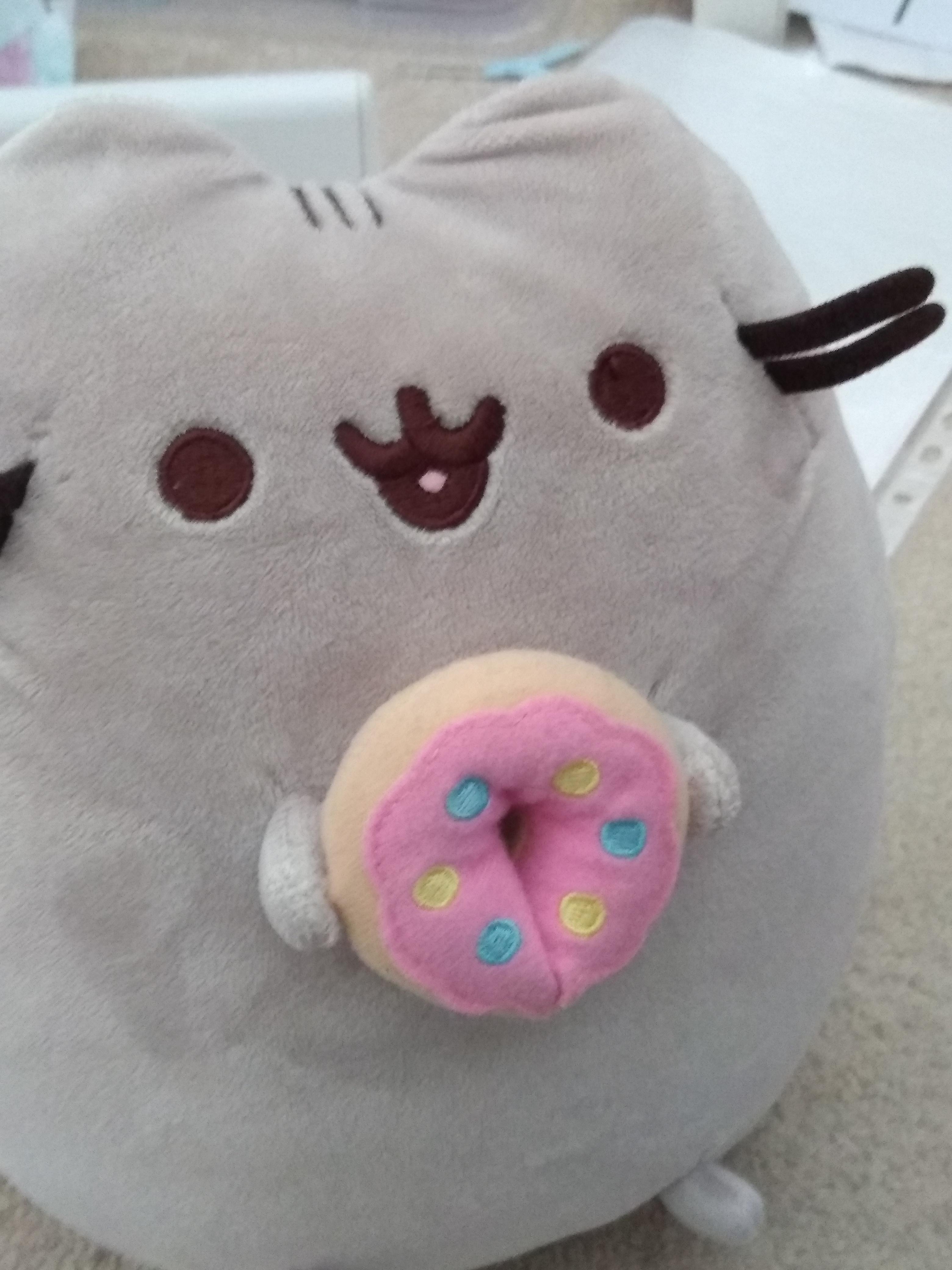 I HAVE TOO MUCH PUSHEEN STUFF AND I'M STILL SEARCHING FOR MORE! | Scrolller