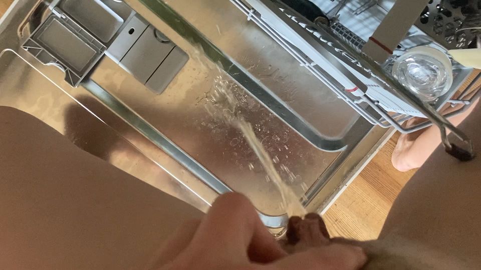 I Really Needed To Go While Putting Plates In The Dishwasher Scrolller i-really-needed-to-go-while-putting-plates-in-the-dishwasher-scrolller
