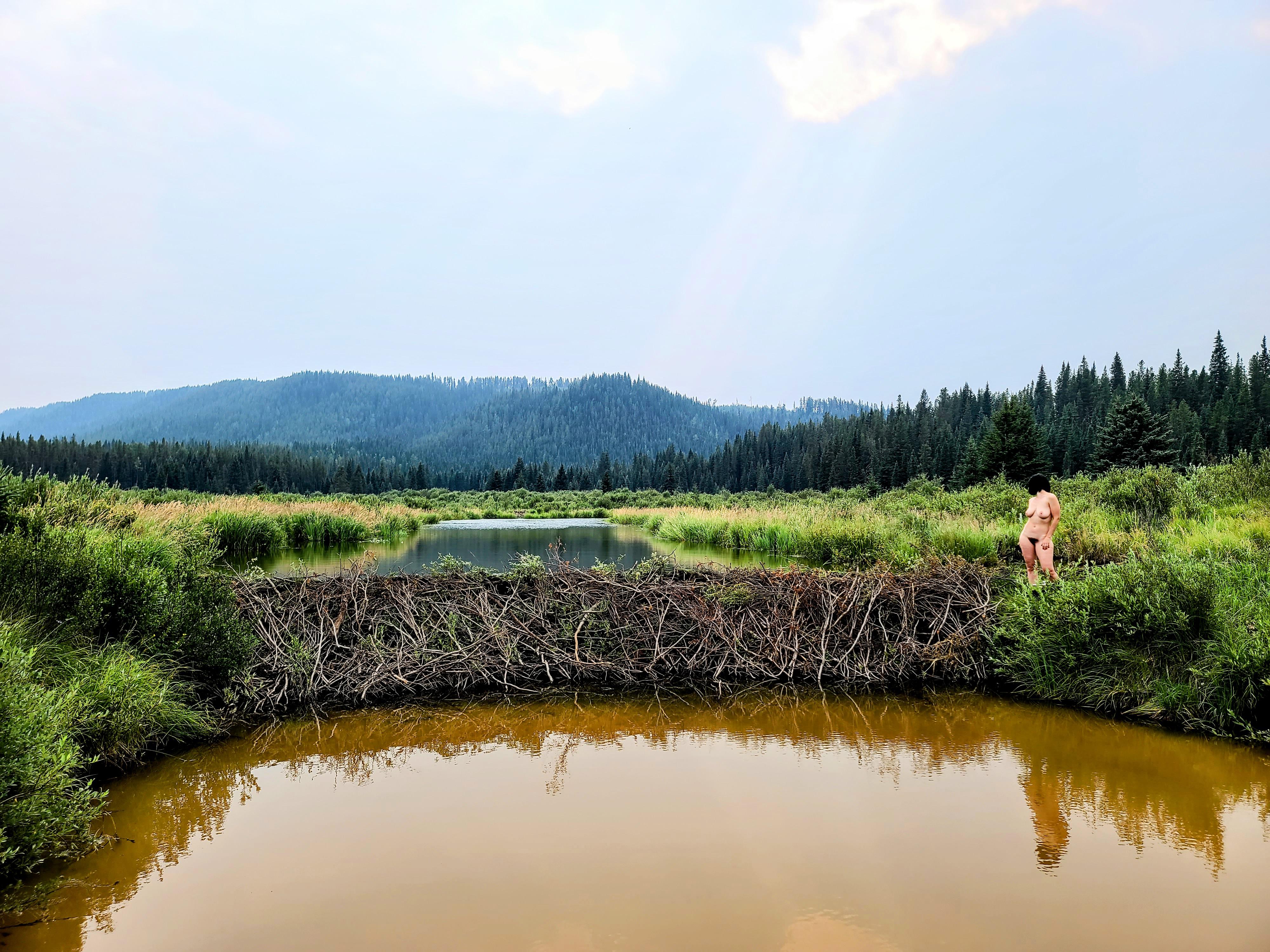 I Was Dared To Pose Naked With A Beaver Dam [f] Scrolller