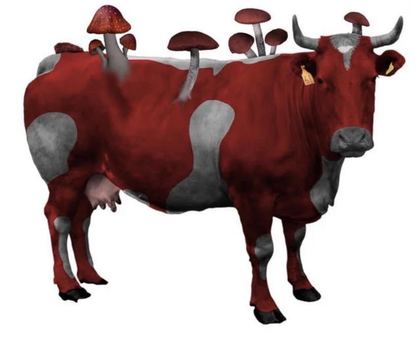 If you ever wondered what the mushroom cow would look like ...