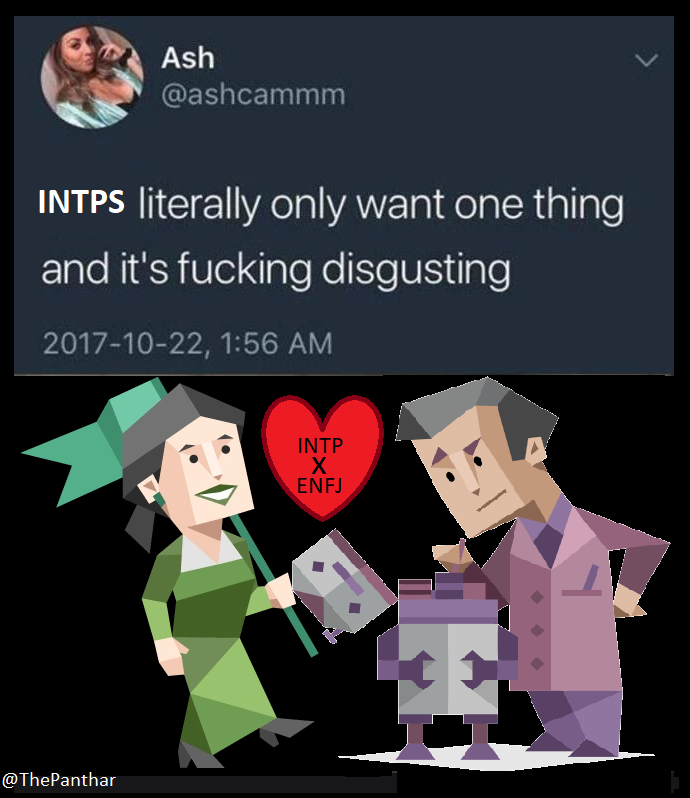 For those of you unaware, INTP x ENFJ is Golden Pair according to Keirsey and I think it fits better.
