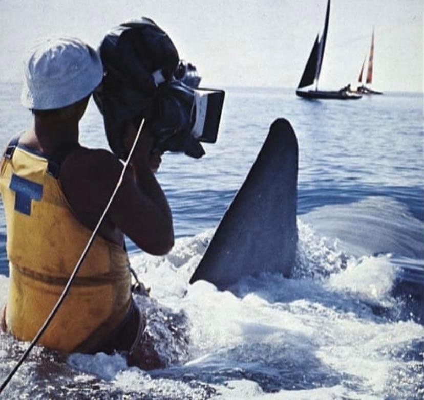 Jaws 2 camera operator Scrolller