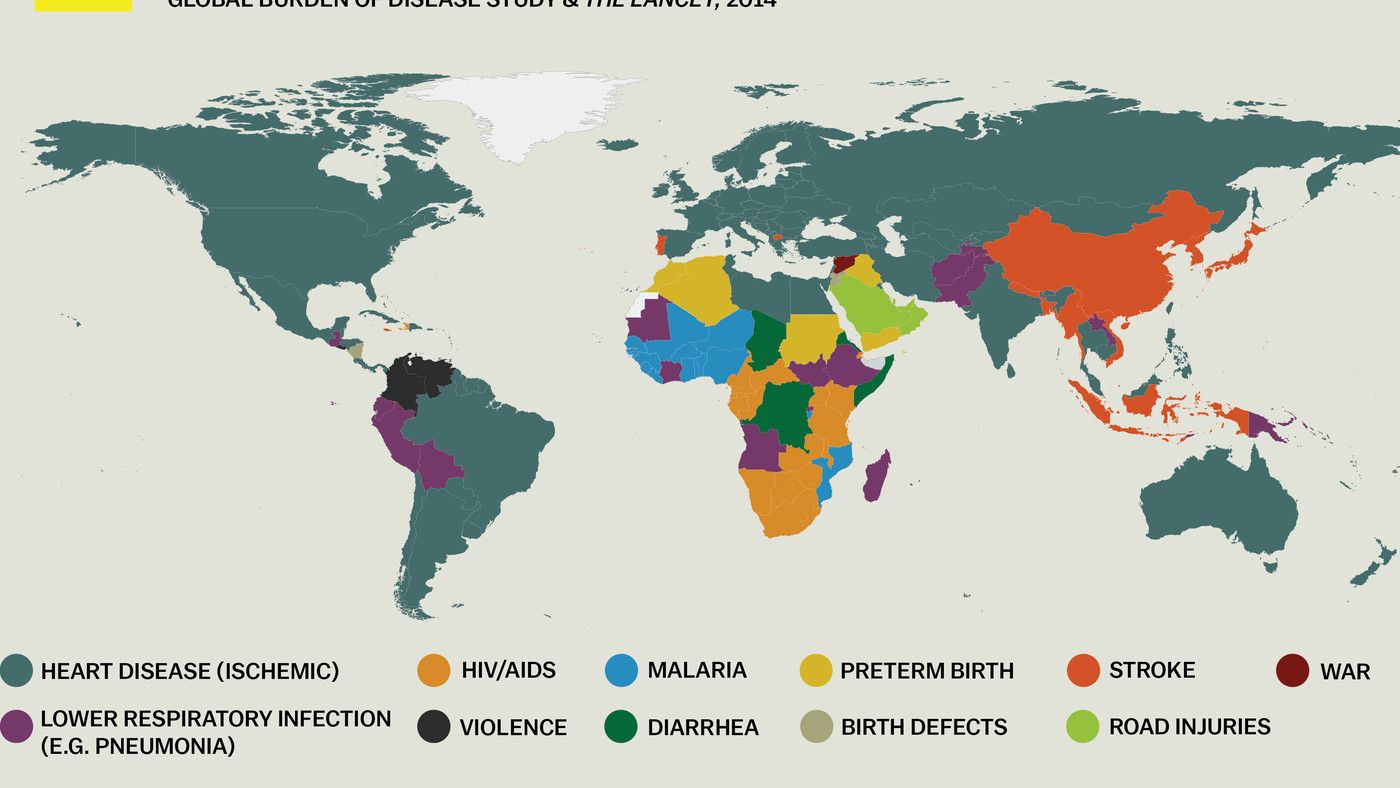 Leading causes of premature deaths in every country (2014) | Scrolller