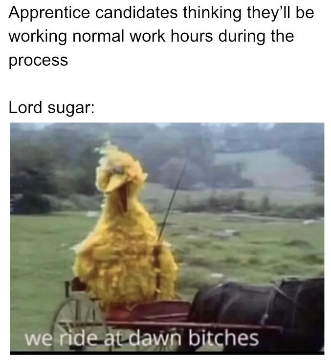 Discover more like Apprenticeuk: Let’s make apprentice memes mainstream ...
