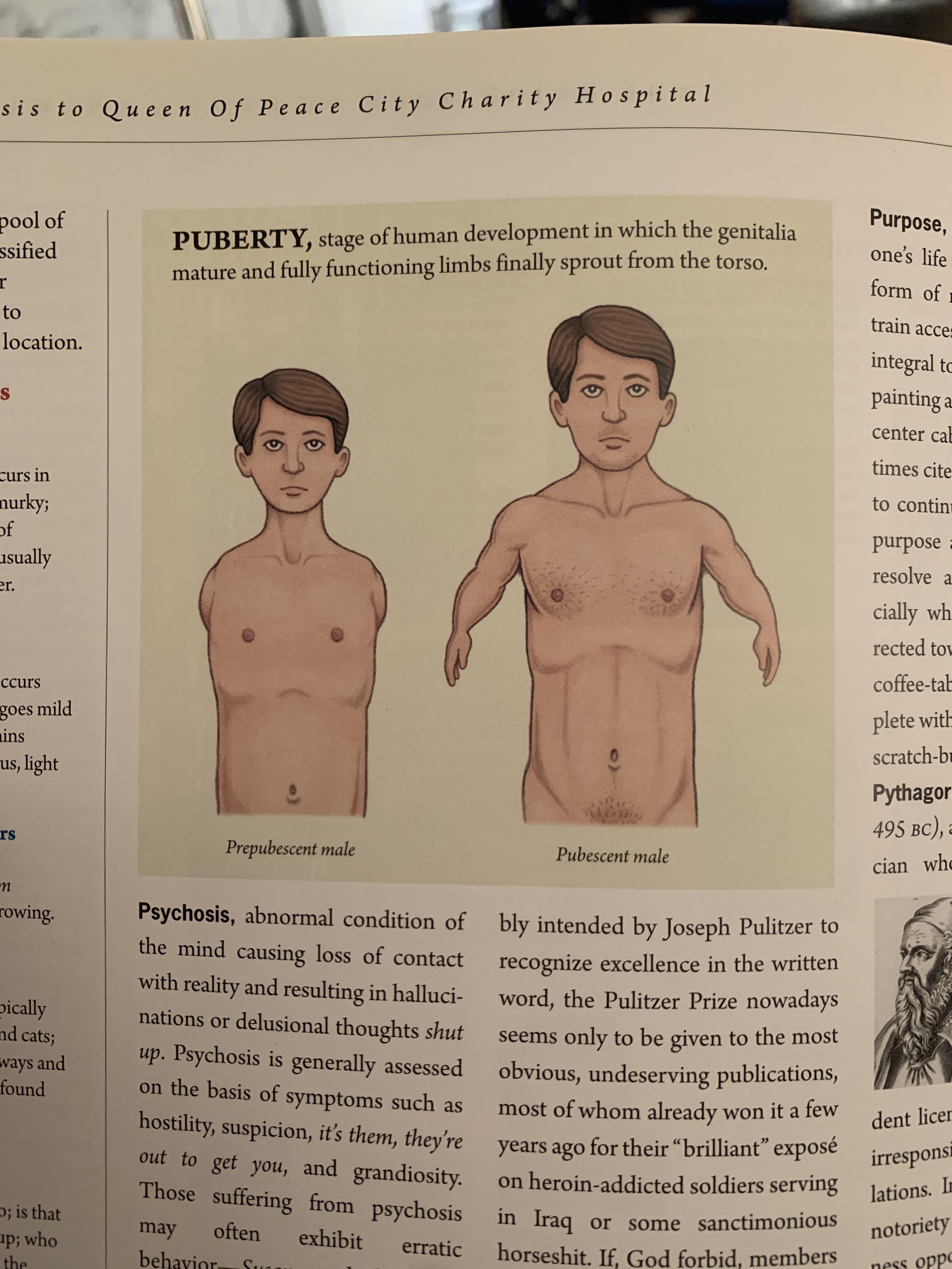 Male puberty, according to science. | Scrolller