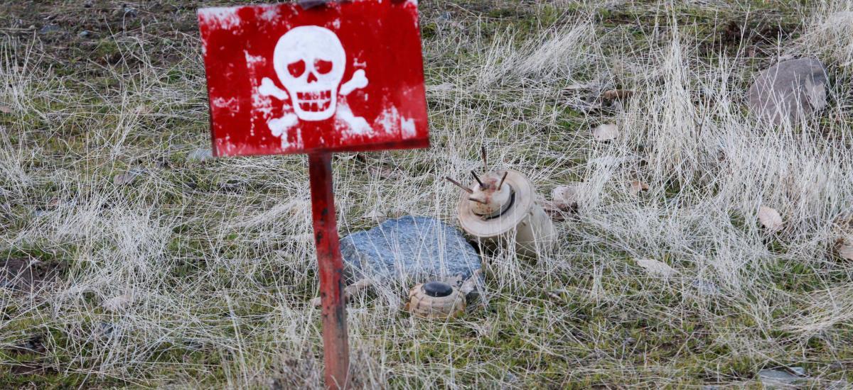 Many signs, especially in English-speaking countries, have a lack of ...
