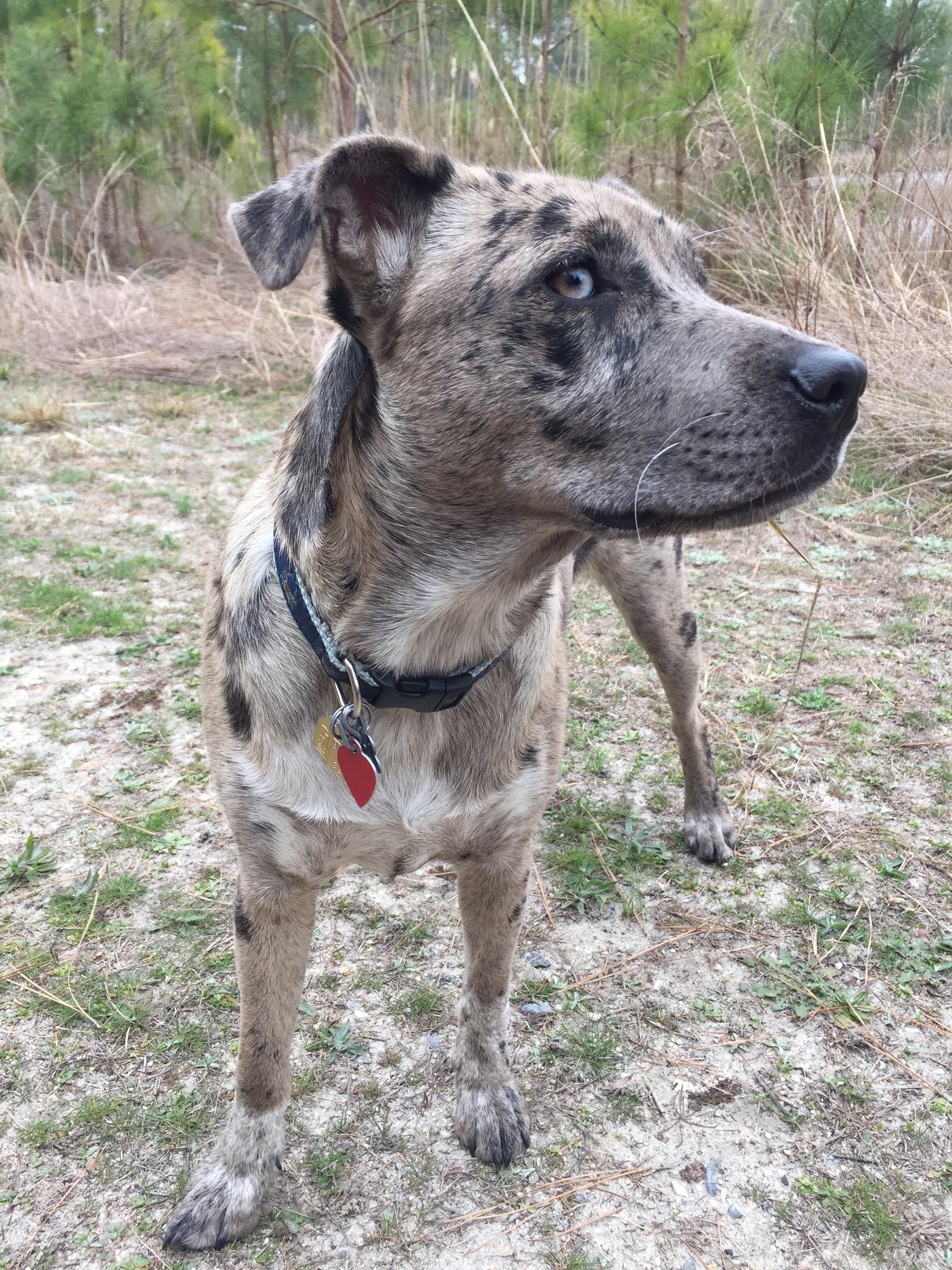 Meet Nala Ray: She'S Rewriting The Rules Of The Digital Game. - ch3l1ew