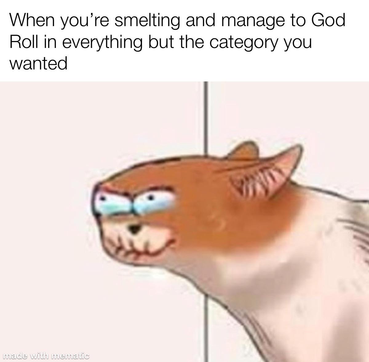 Meme- I wasted ~100 runes haha 🙃 | Scrolller