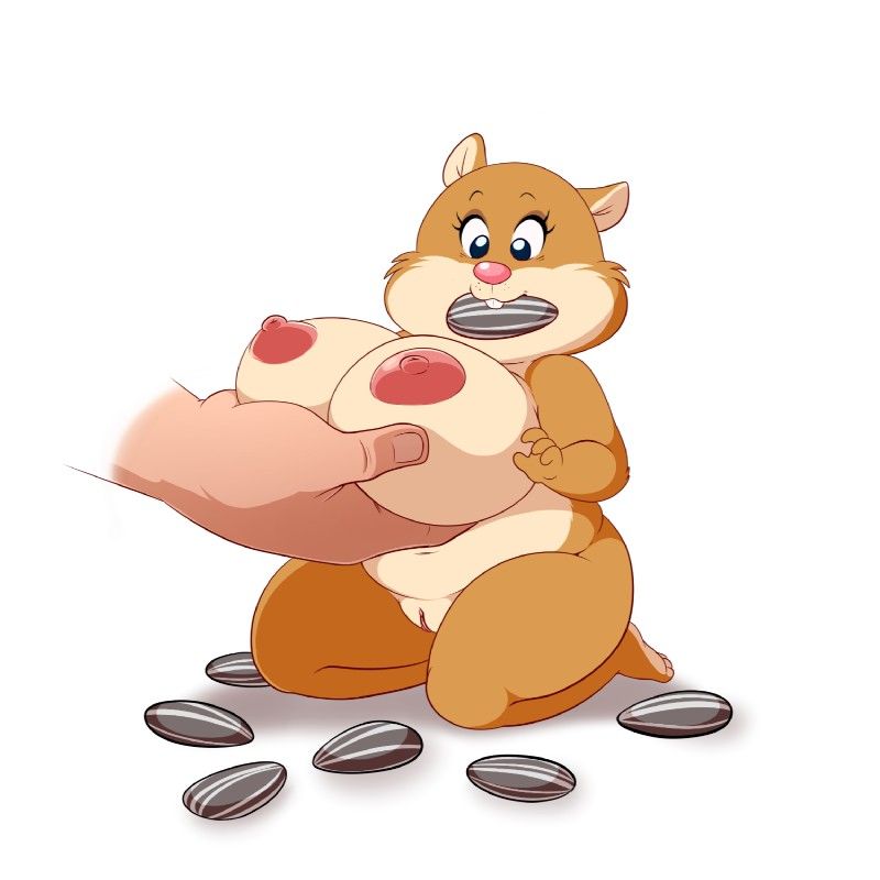 Hamster Sexo