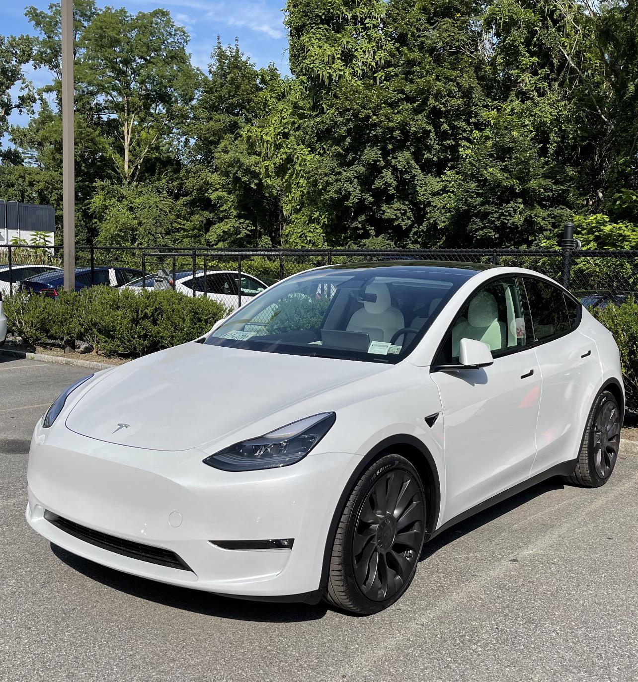 Model Y Delivery Day!!!! Scrolller