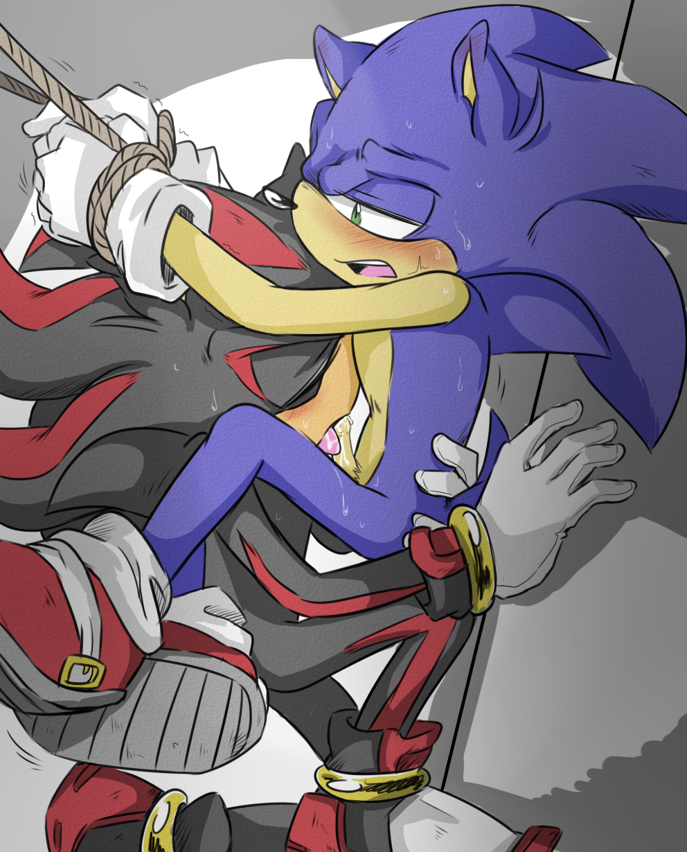 Sonic x shadow