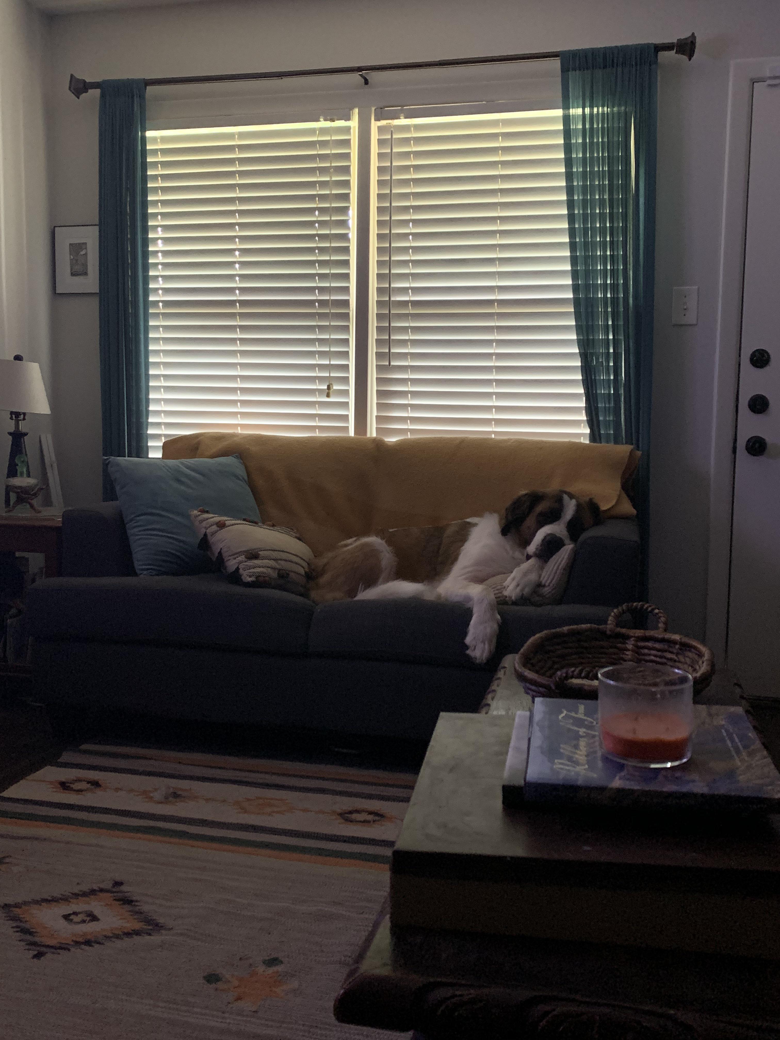 My 1 1/2 year old baby that sleeps like a human I love her lots 💛