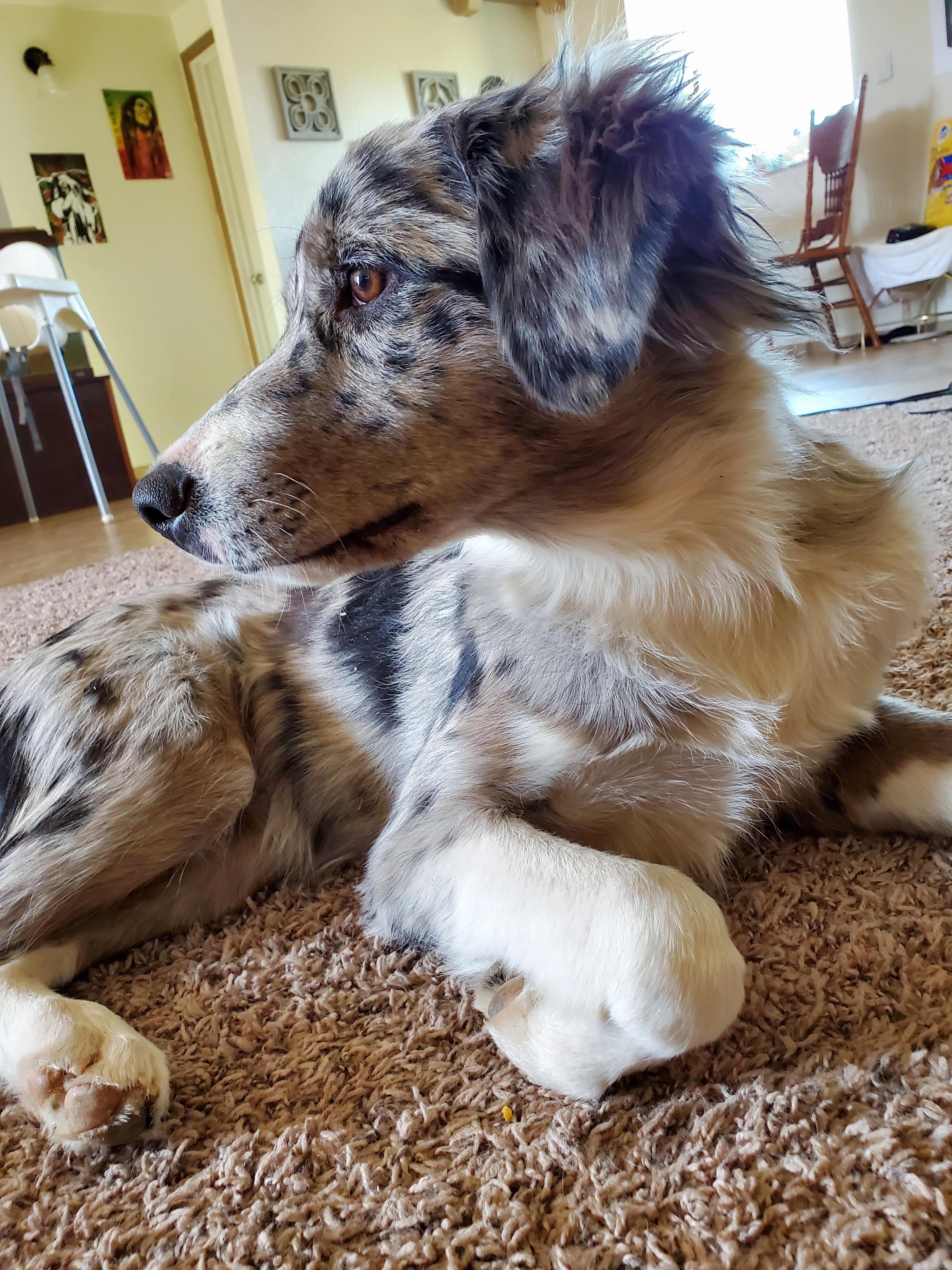 My alli girl🥰 Scrolller