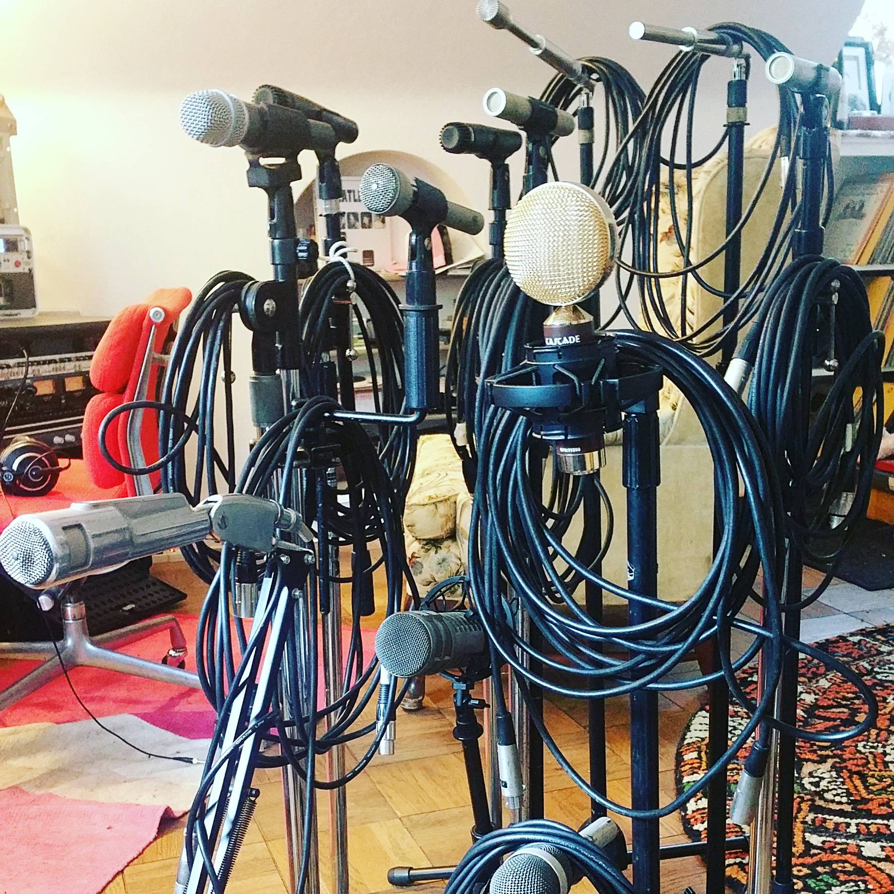 My microphones are ready for next week's session. | Scrolller