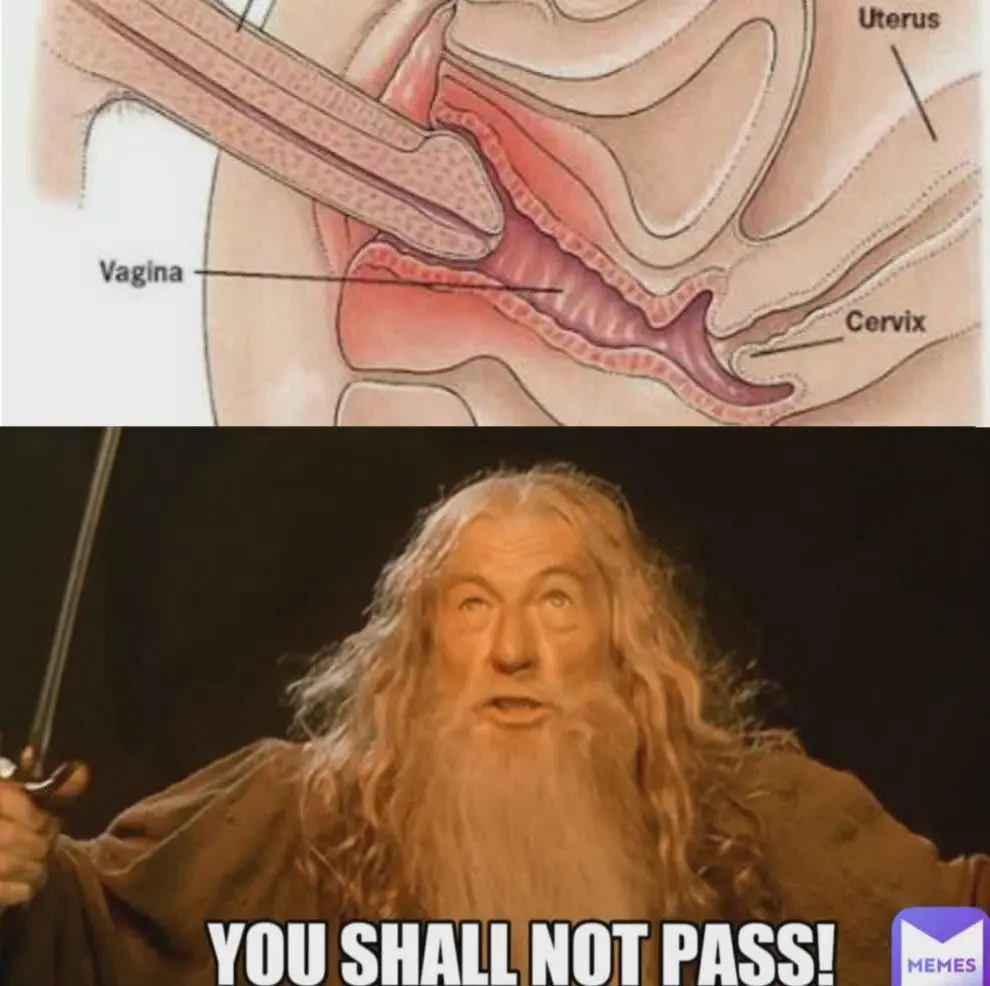 My vagina whenever a dick comes my way: