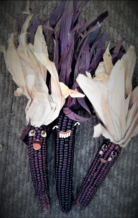 [OC] [Art] Introducing Red-Devil Corn, the sentient staple food of the ...