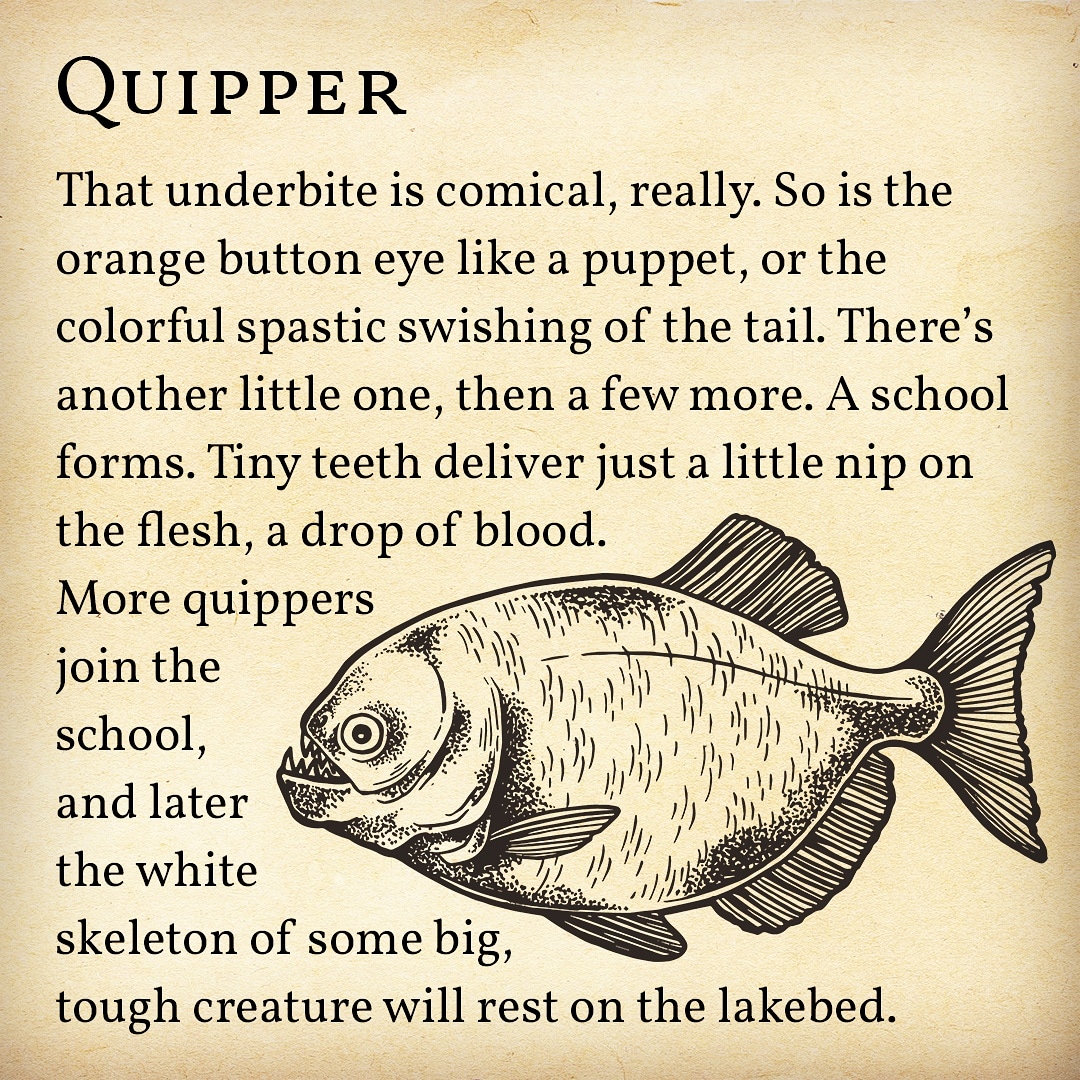 [OC] Quipper | Scrolller