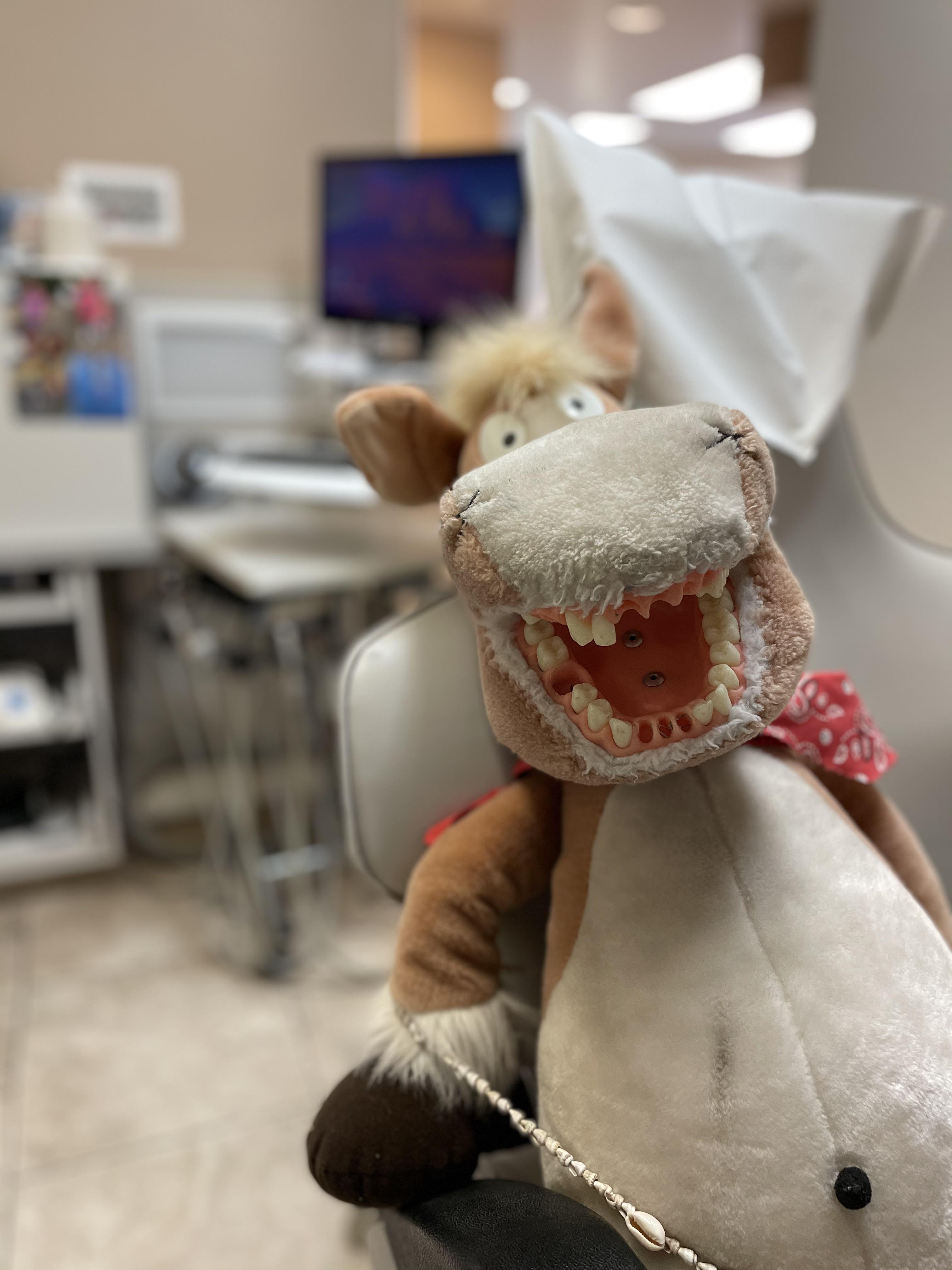 [OC] The stuffed animal my office uses to teach children how to brush