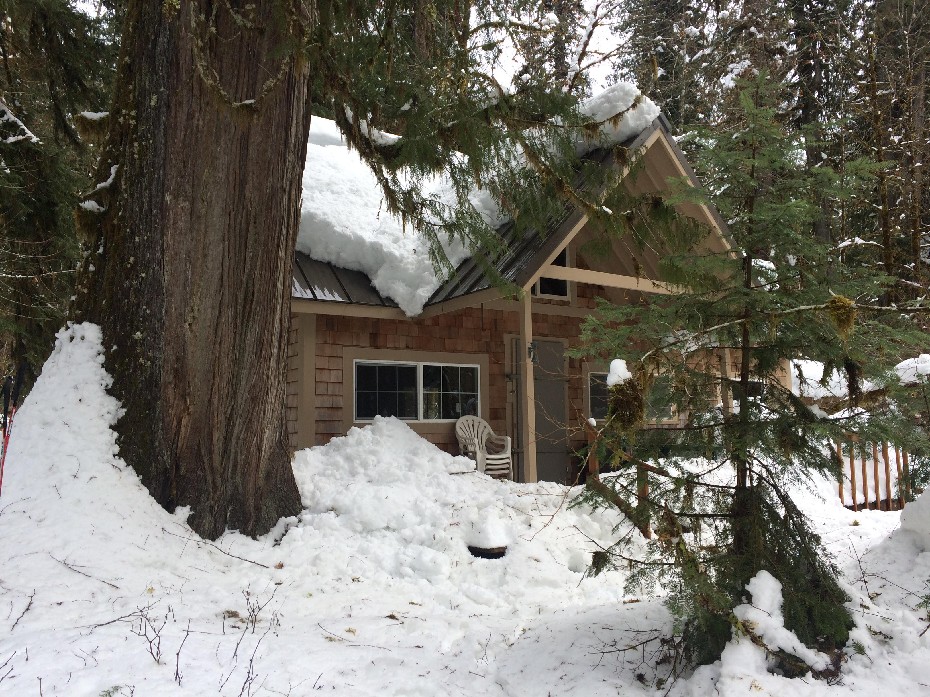 Picture of Off Grid Forest Service Cabin. I has been so fun for the past few years ...