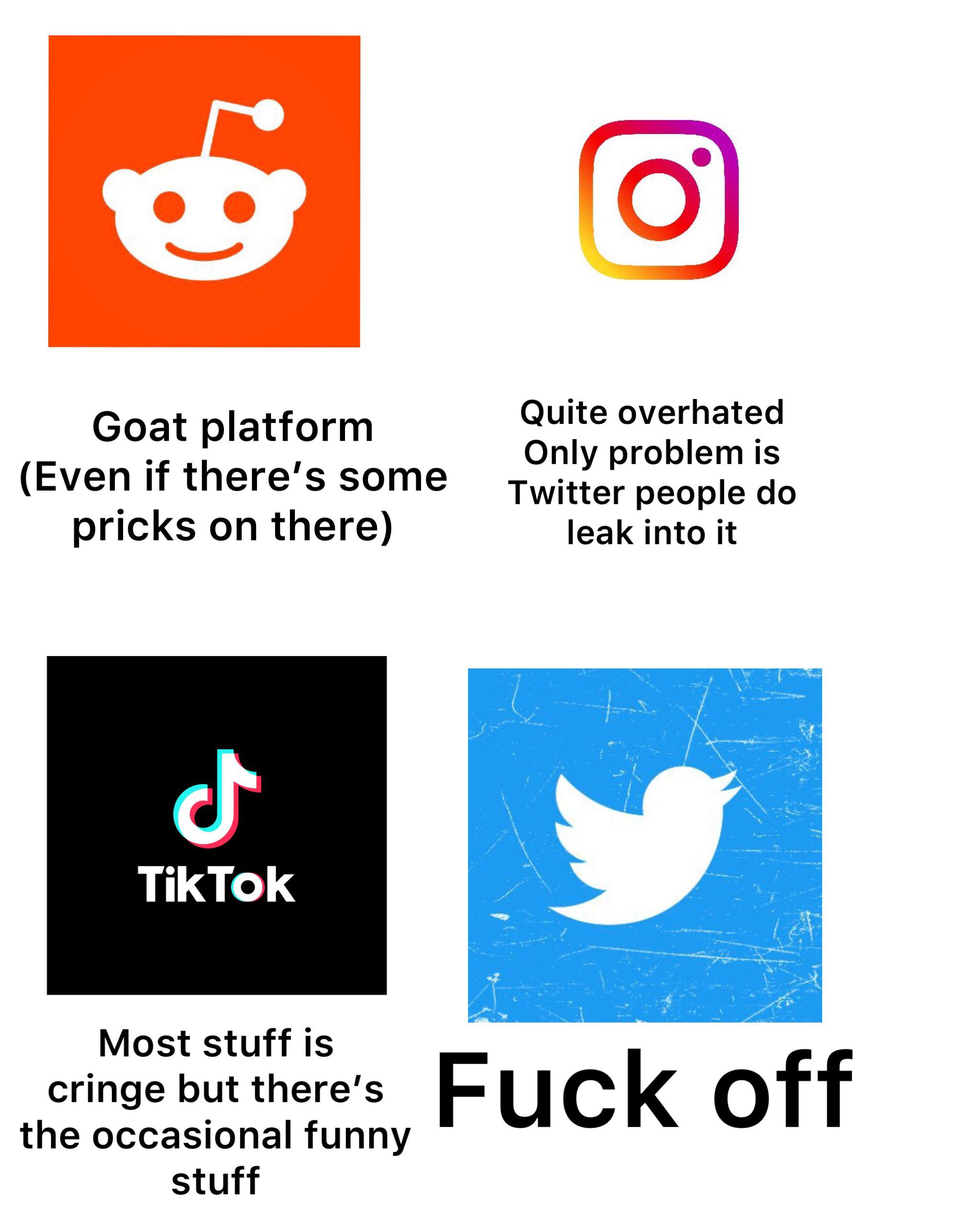 Platforms gen z use rated Scrolller