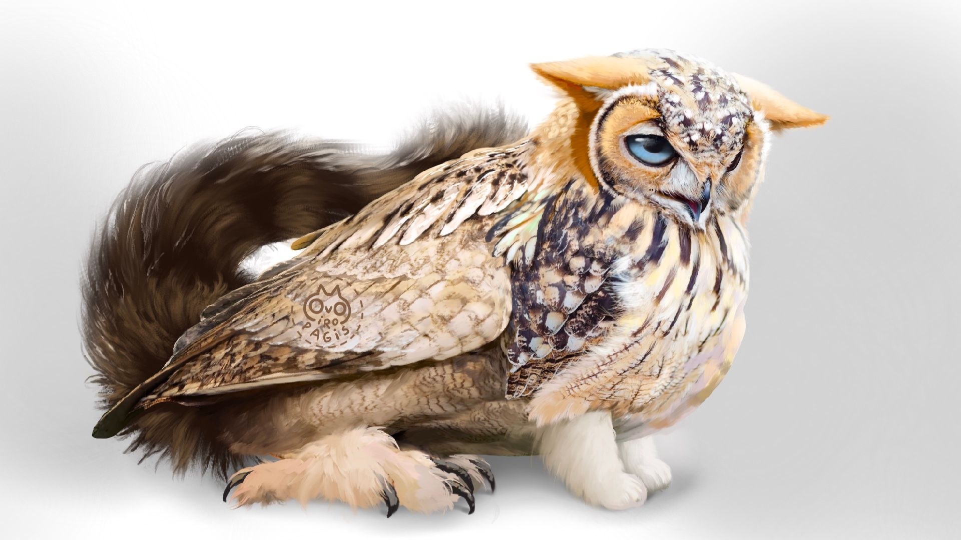 Normal Meowl Real Meowl of the day! | Scrolller