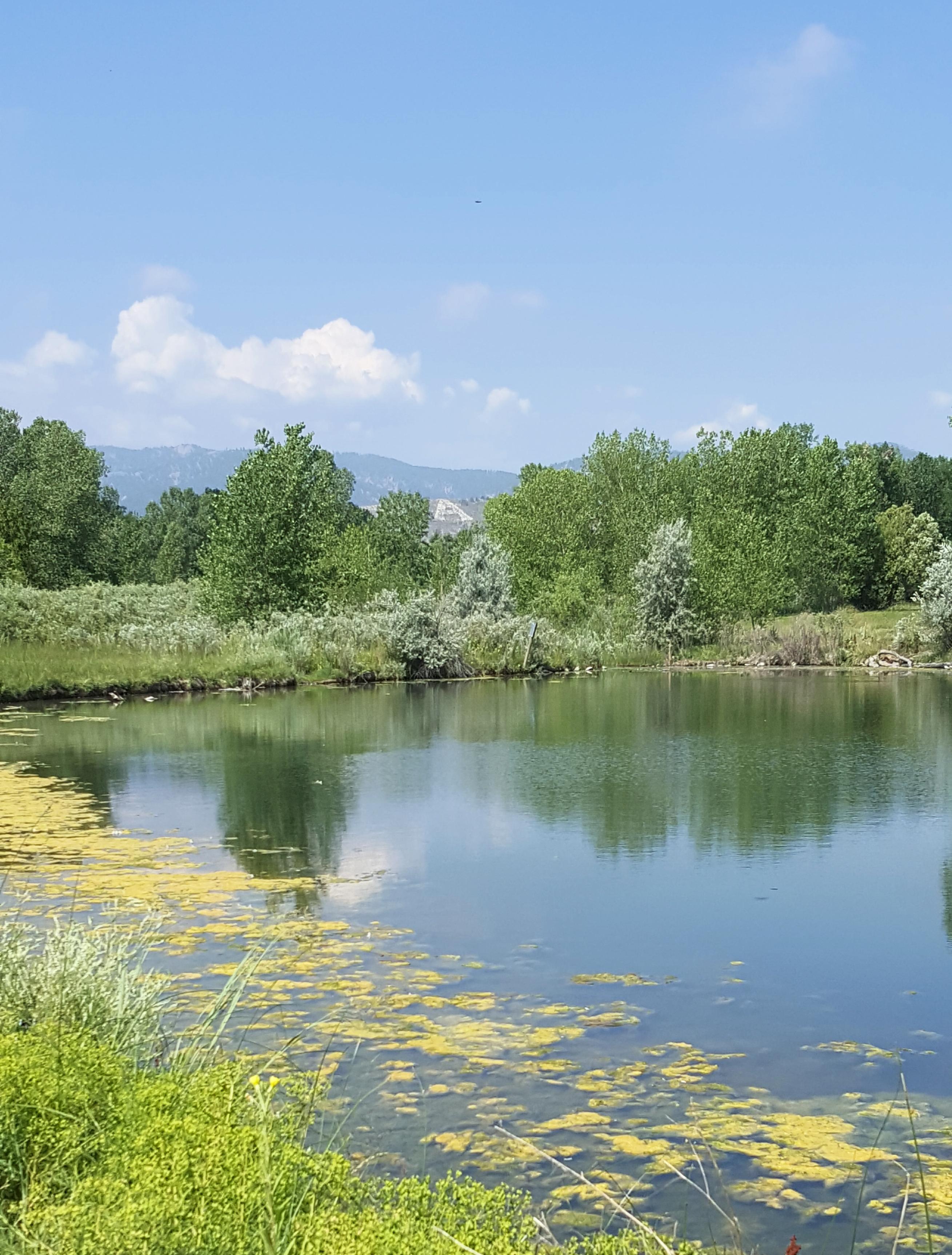 Red Fox Meadows Natural Area | Scrolller