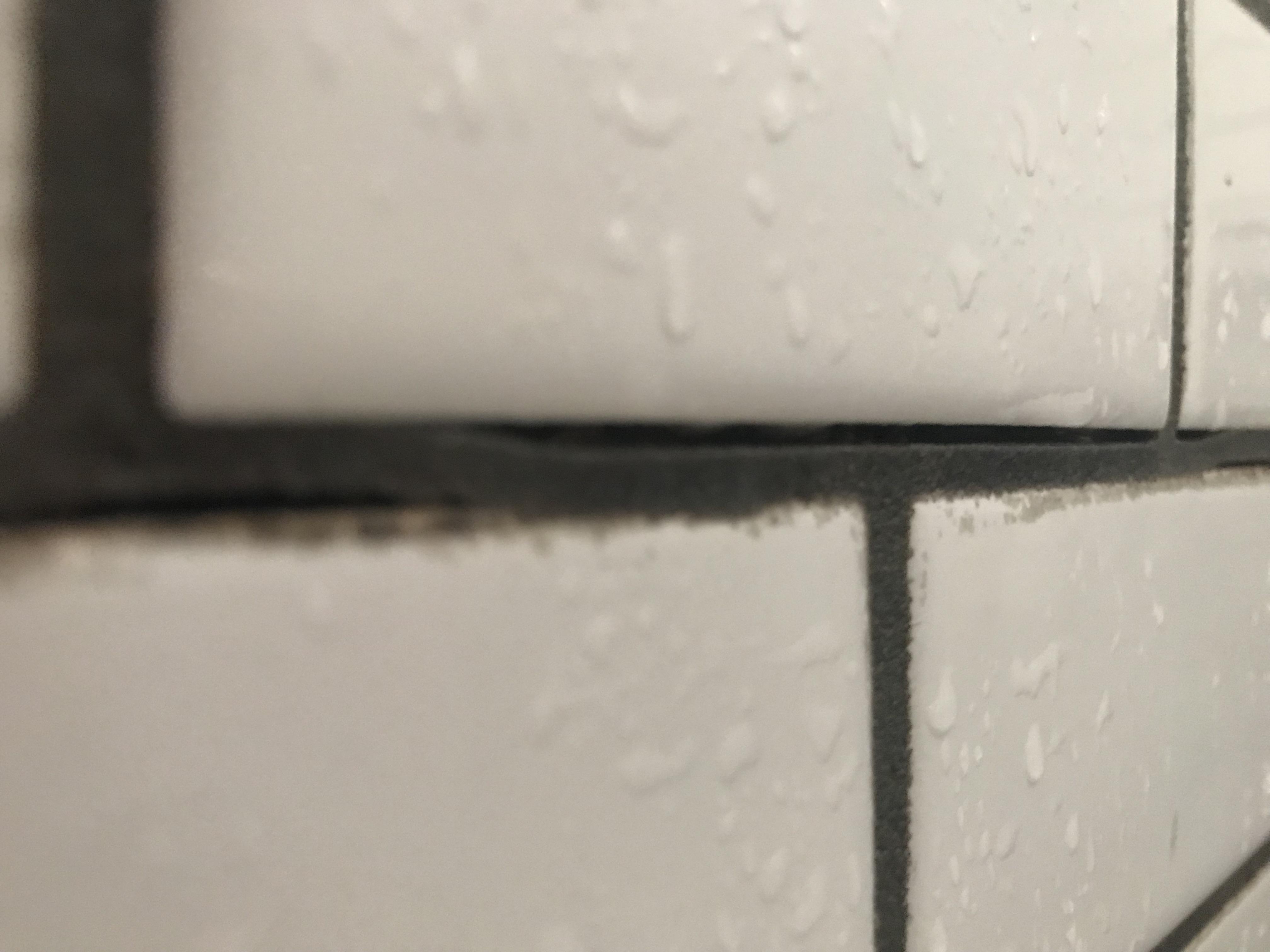 Reddit, I need your help!! How do I fix this grout problem? It’s in the shower and it looks like
