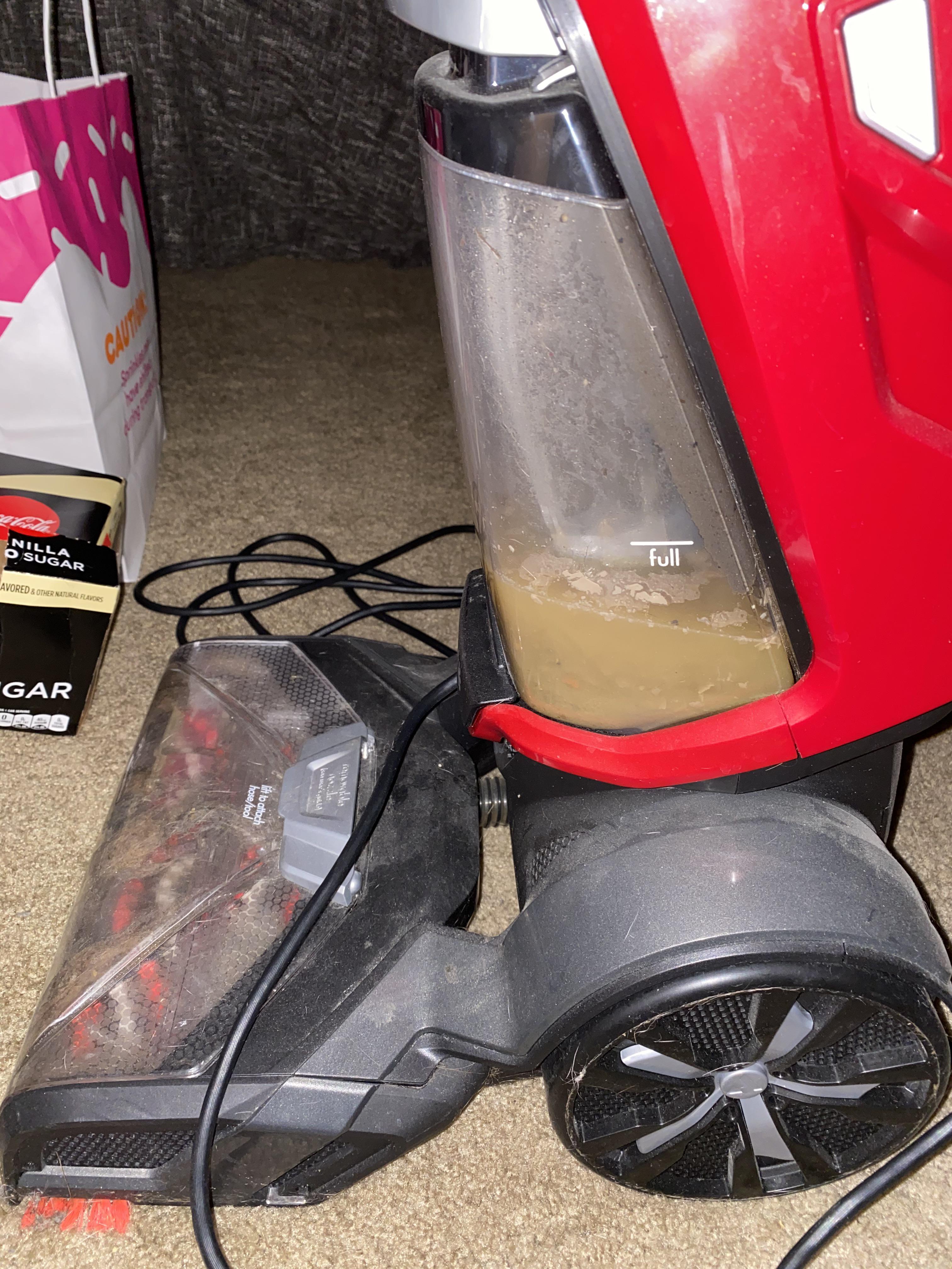 Roommate vacuumed up their dogs diarrhea using my carpet cleaner. That
