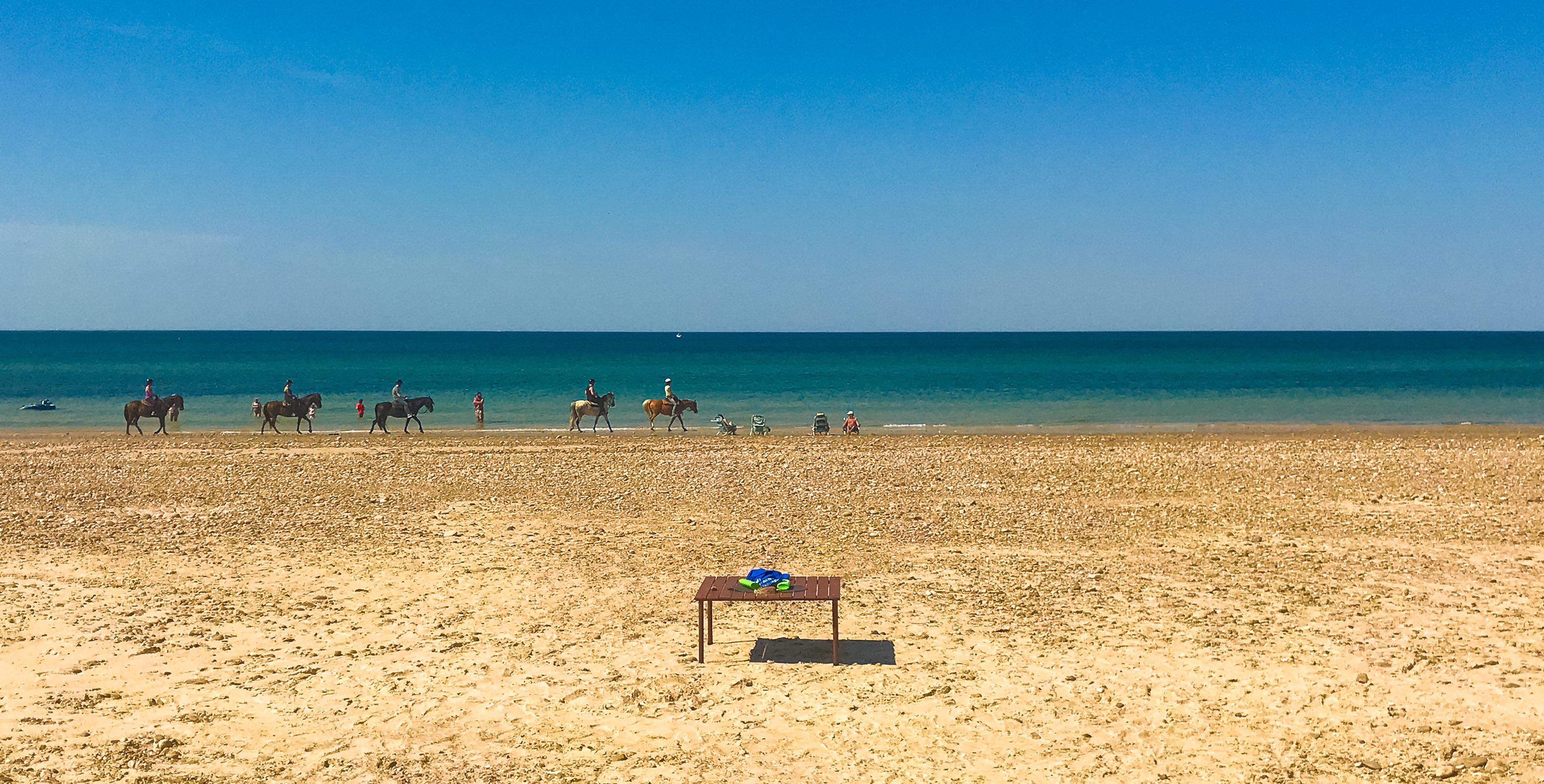 Sandy Neck Scrolller