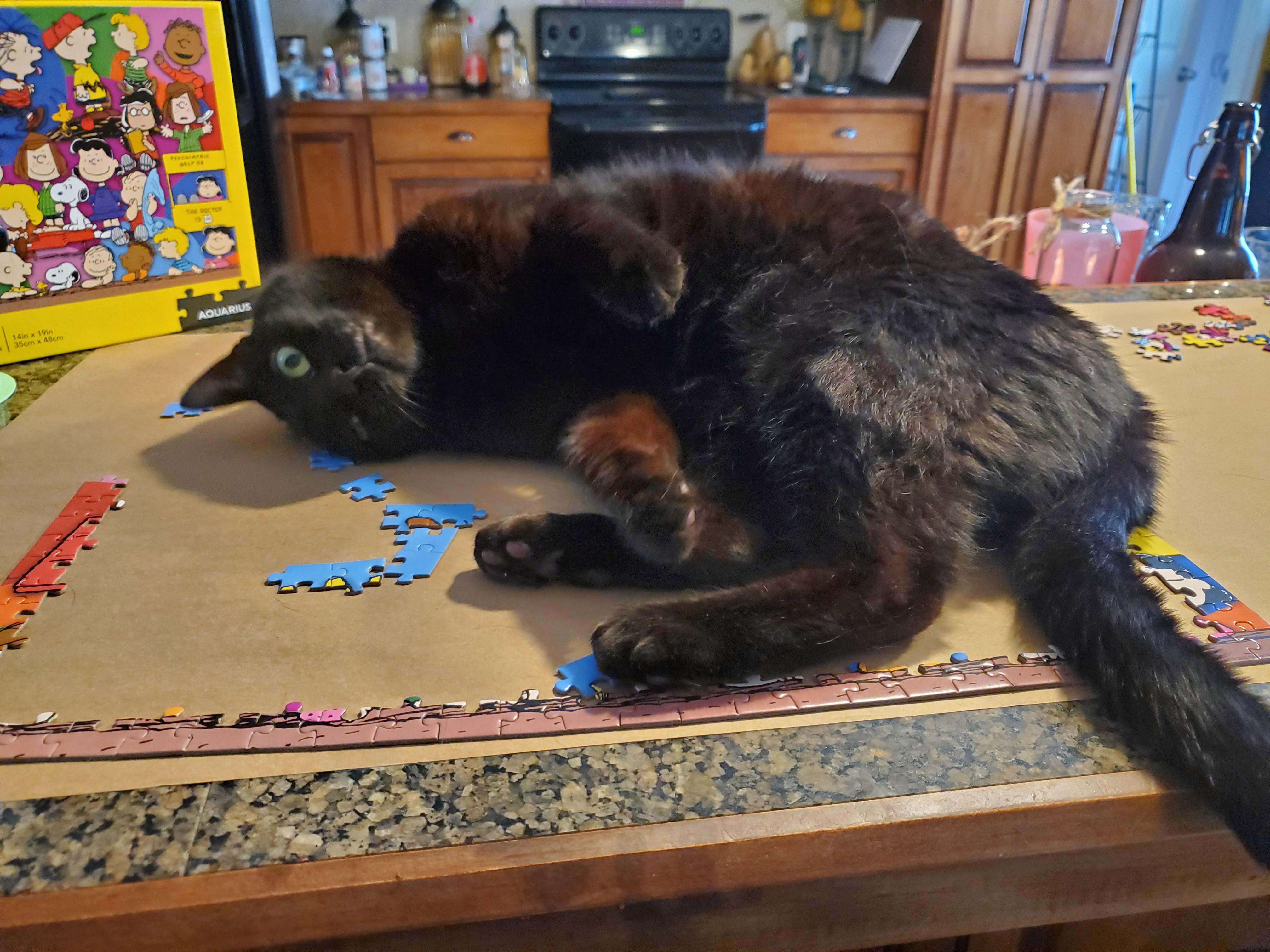Scratch my belly or lose a puzzle piece. Scrolller