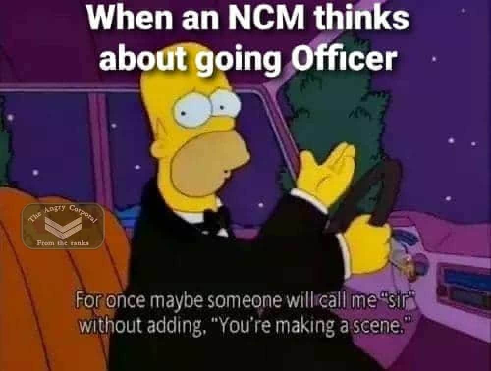 SCS commission from the ranks | Scrolller