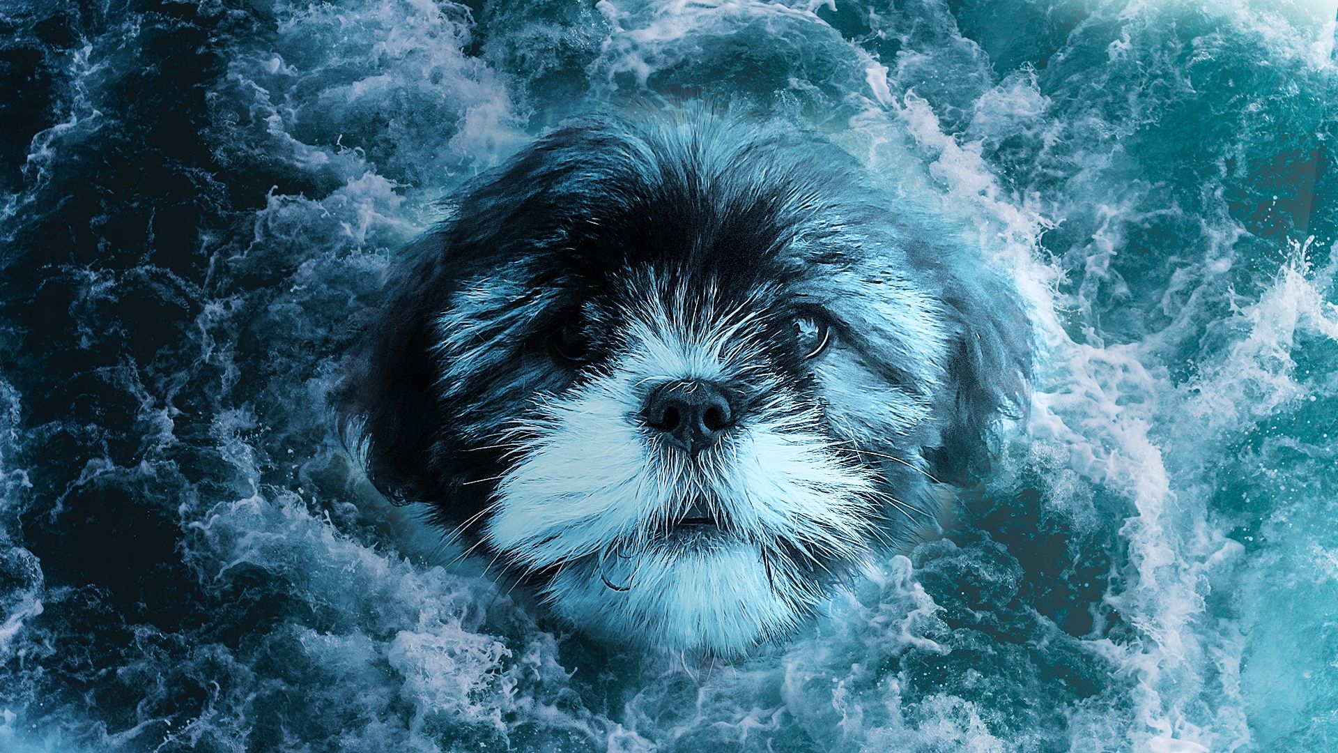 She is like water. Powerful enough to drown you/soft enough to cleanse