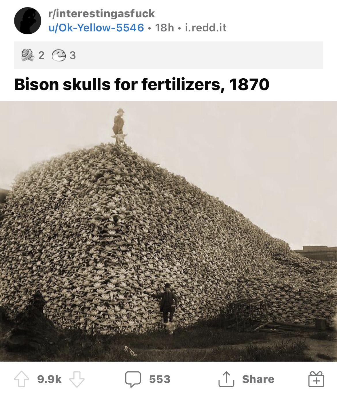 Skulls for the Skull Throne! Scrolller