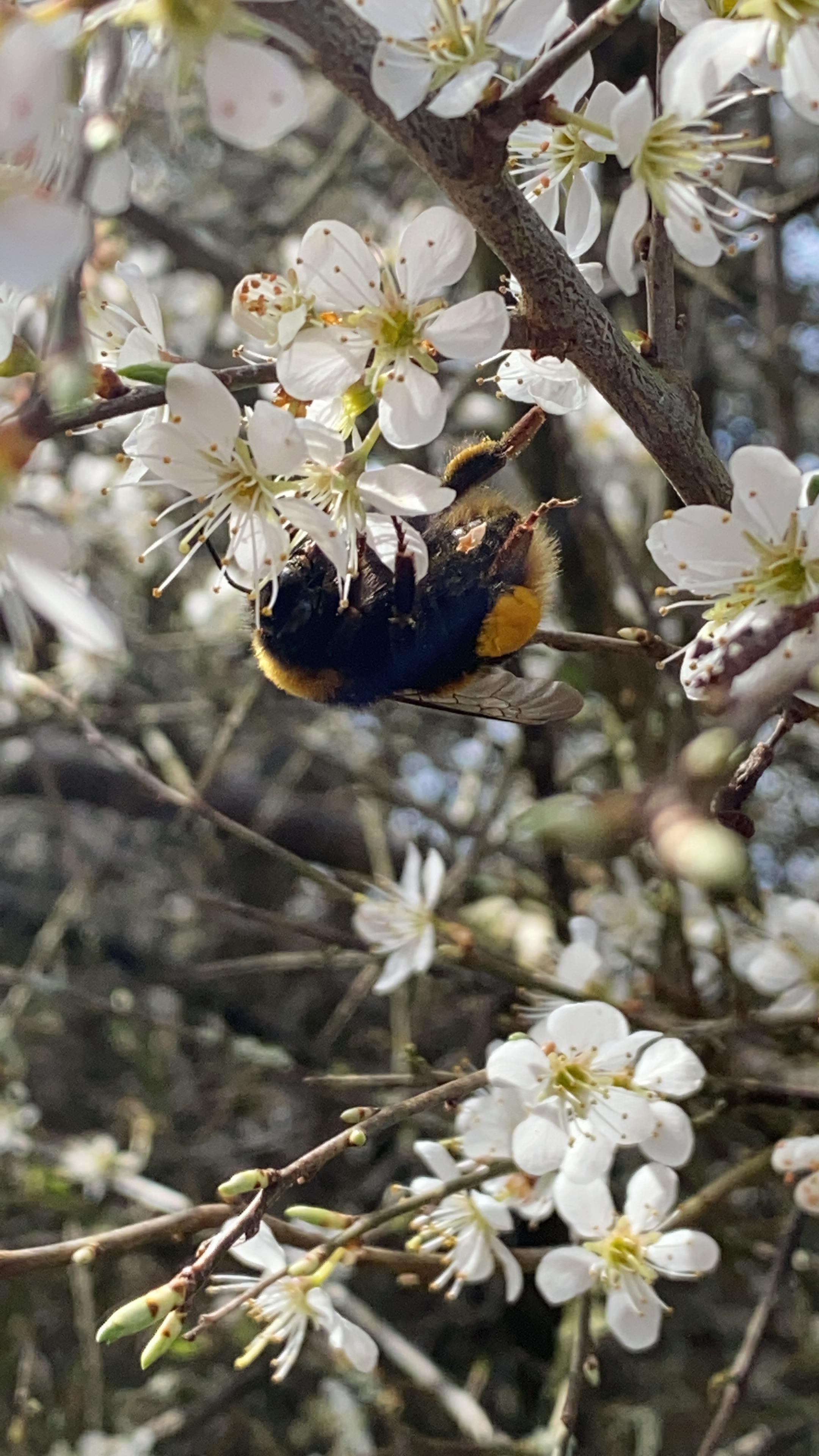Spring is here. | Scrolller