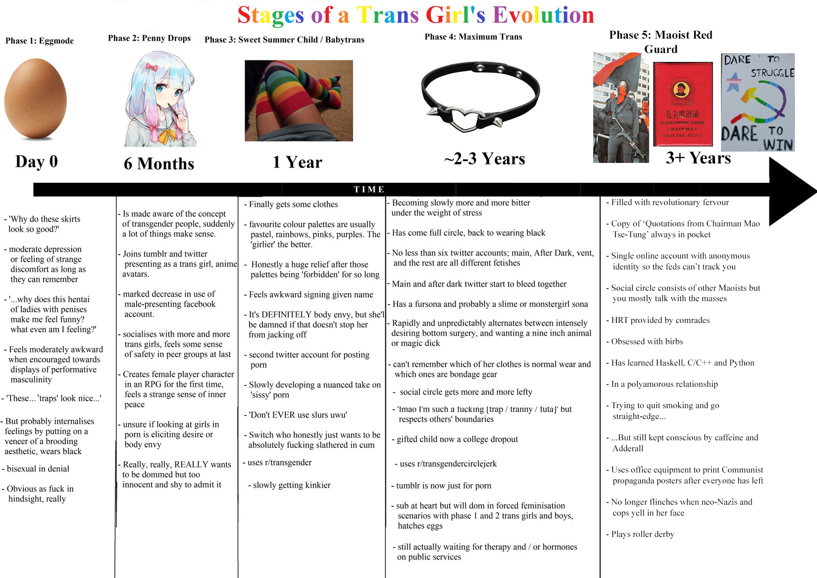 Stages of a Trans Girl's Evolution [fixed] | Scrolller