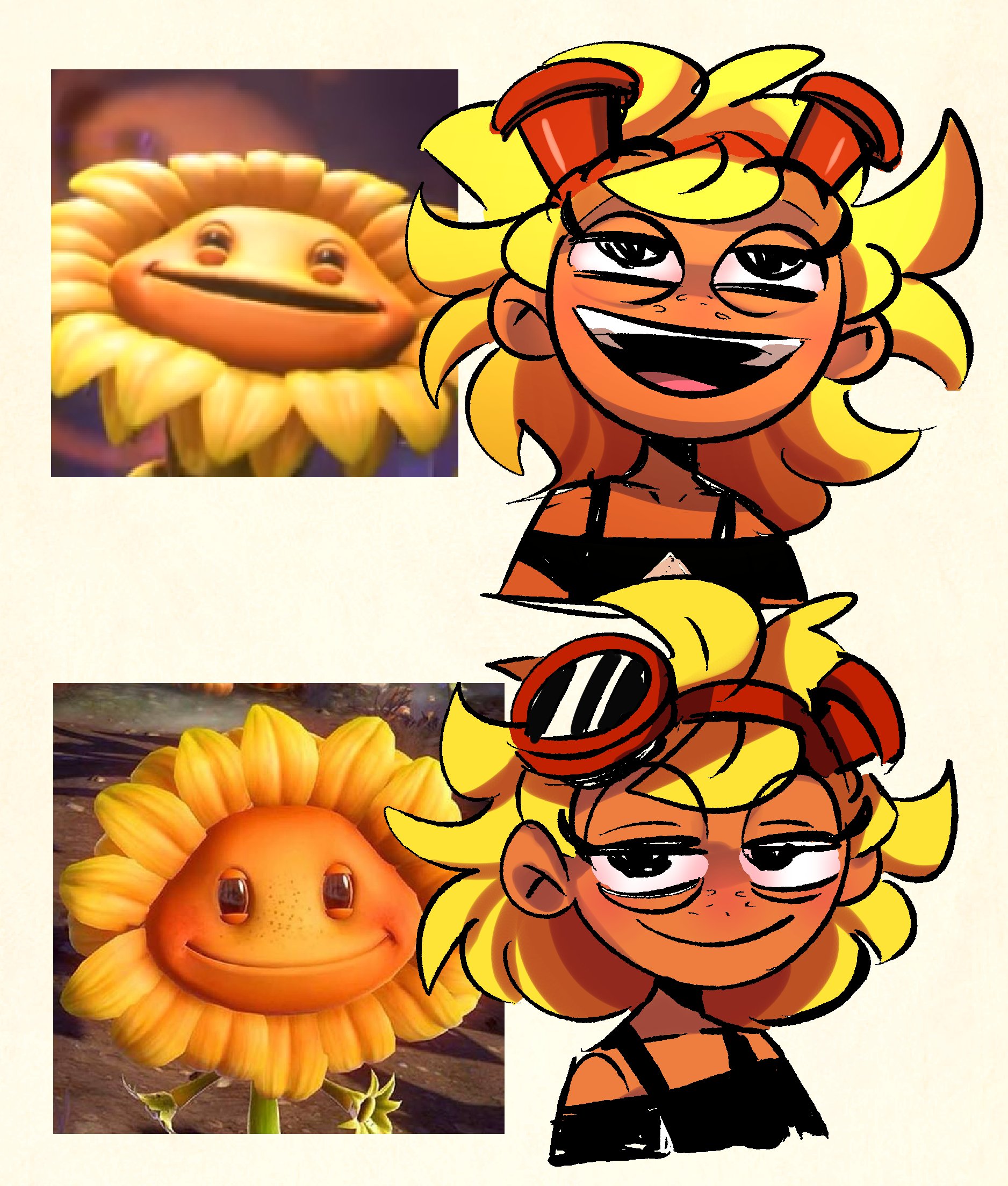 Sunflower r34