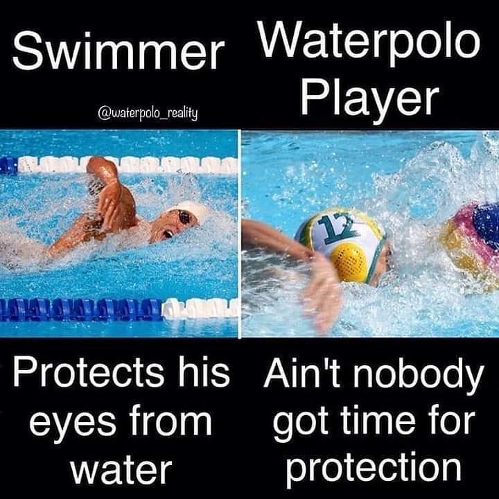 Swimmingmemes Pictures Scrolller