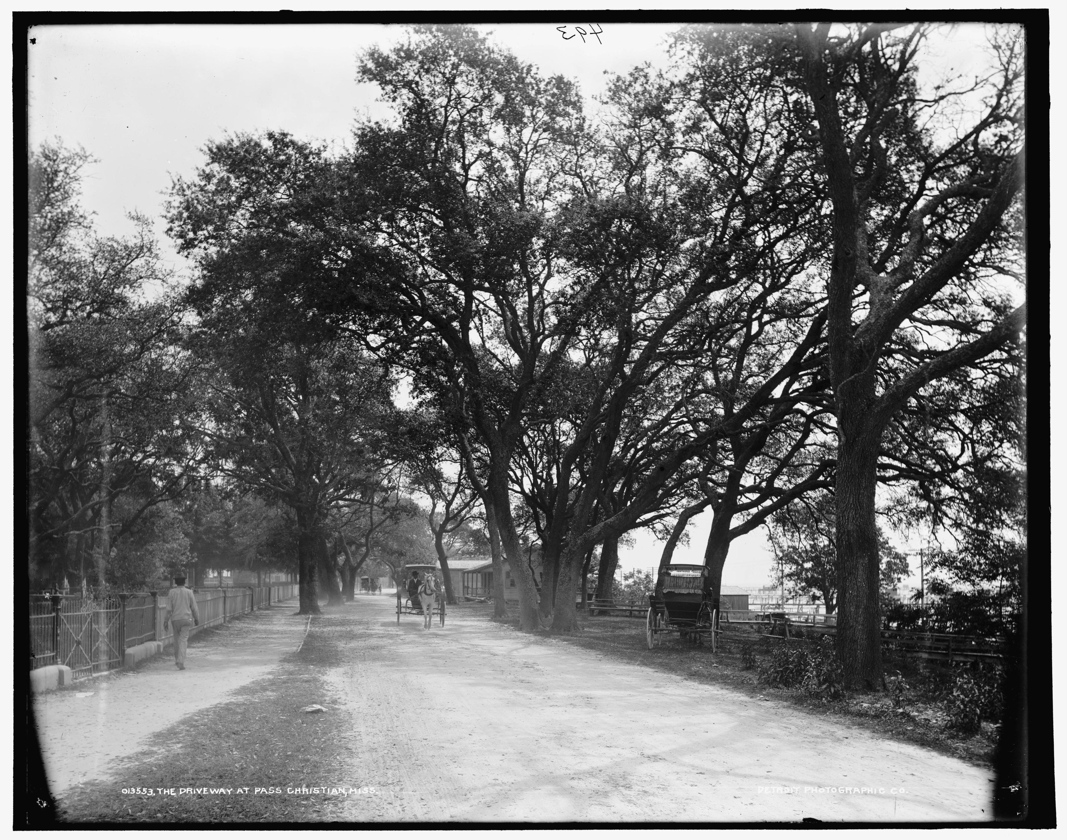 The Driveway at Pass Christian, Mississippi, 1900. Scrolller