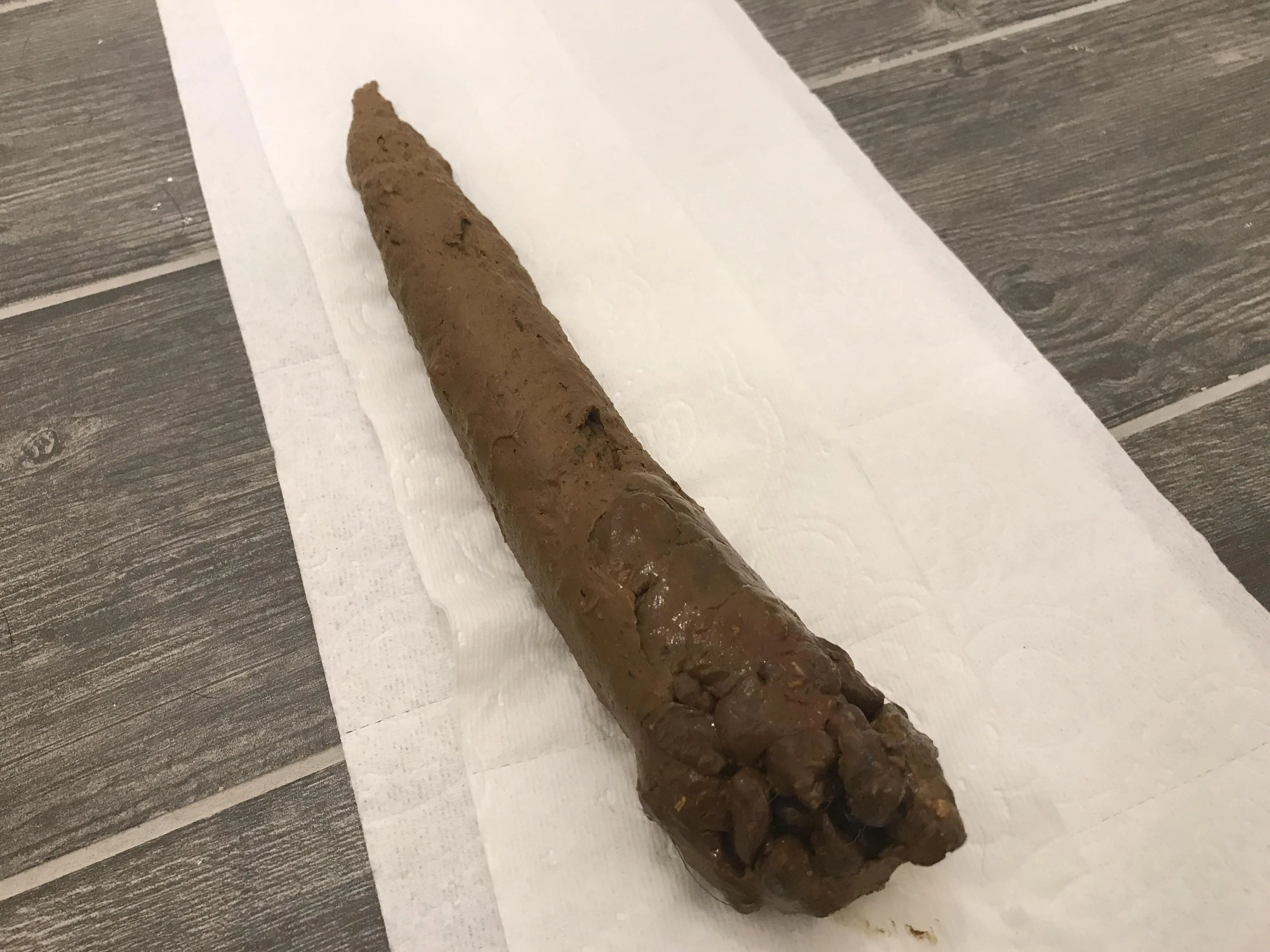 The final poop of 2020! 10.75” long and 2.12” wide. | Scrolller