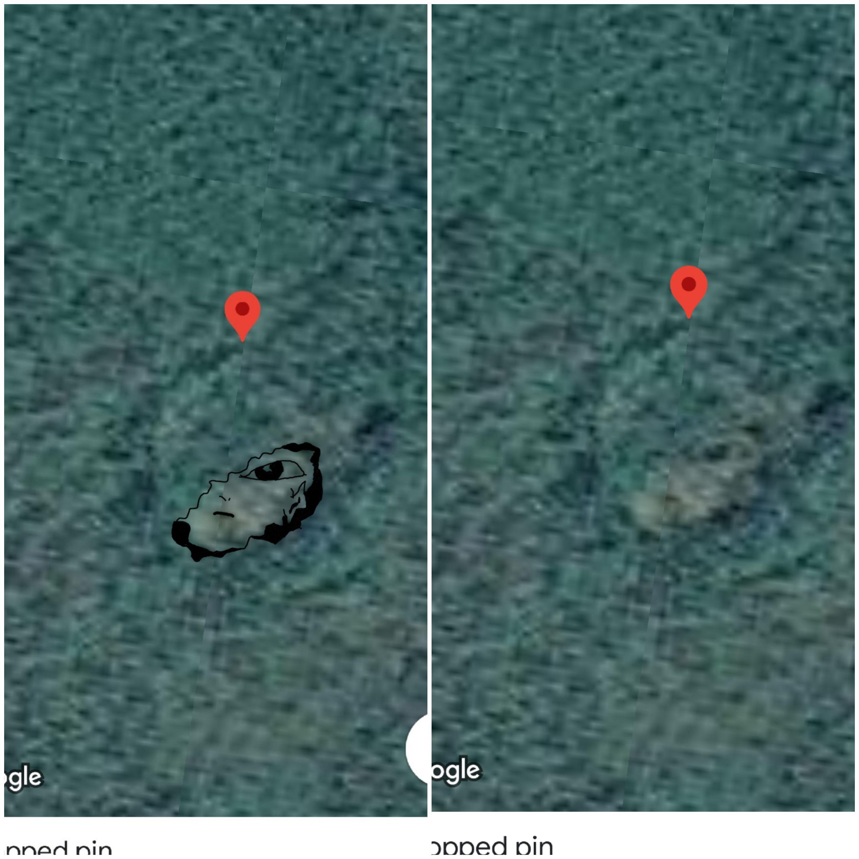 The hidden elf. | Scrolller